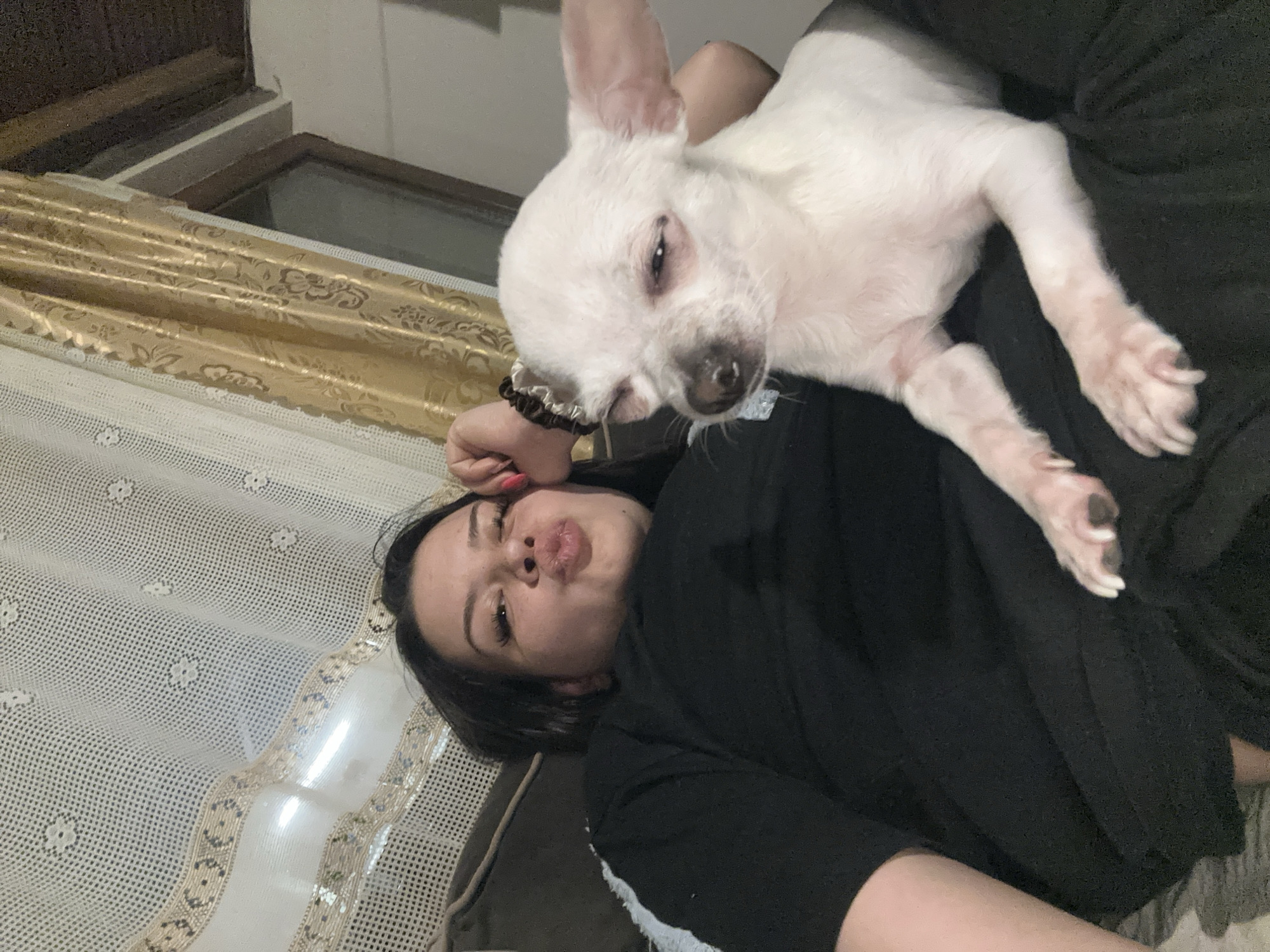 Woman shares quiet moments with Chihuahua in Bulgarian home