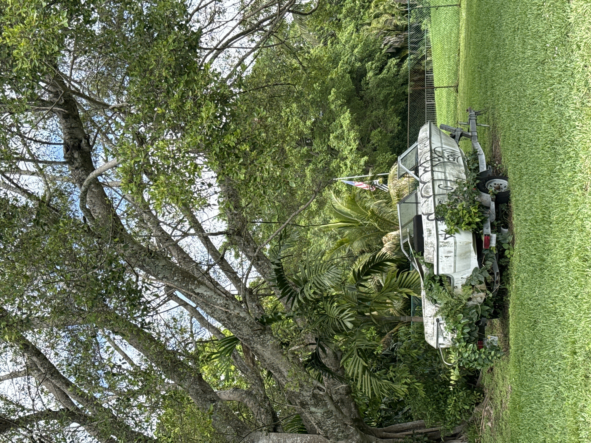 Quiet suburban moments captured in Davie, Florida backyard setting