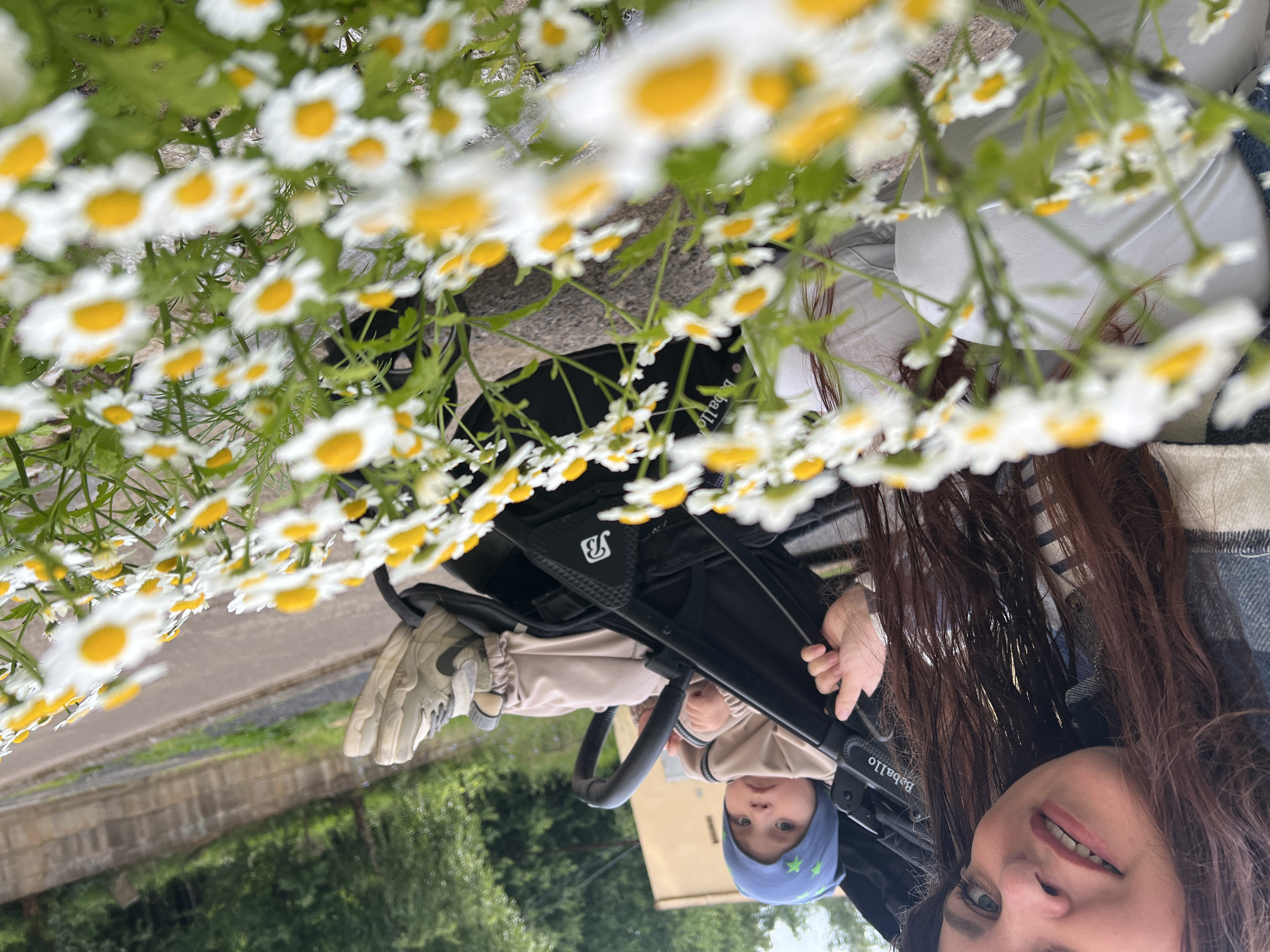 Sunny afternoon out in Noviy, flowers and selfies