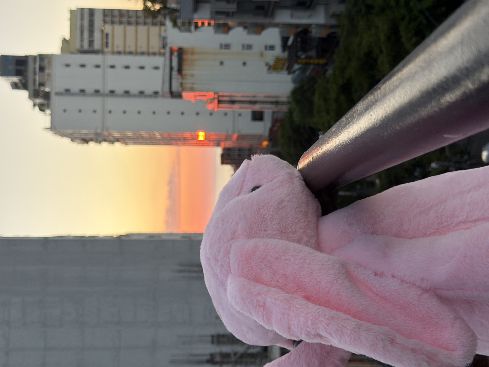 Pink bunny toy tours Đà Nẵng at golden hour