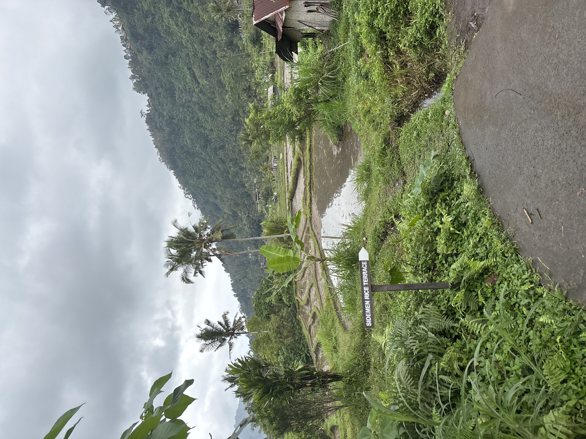 Sidemen, Indonesia
