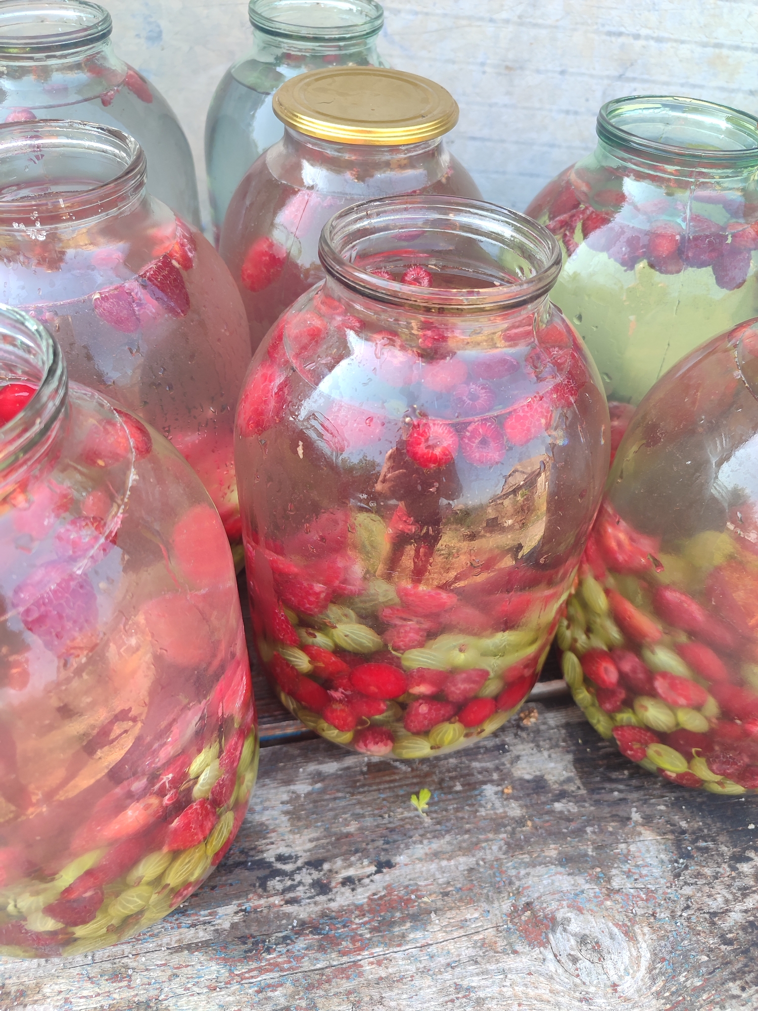 Midsummer garden life in rural Ukraine, produce and all
