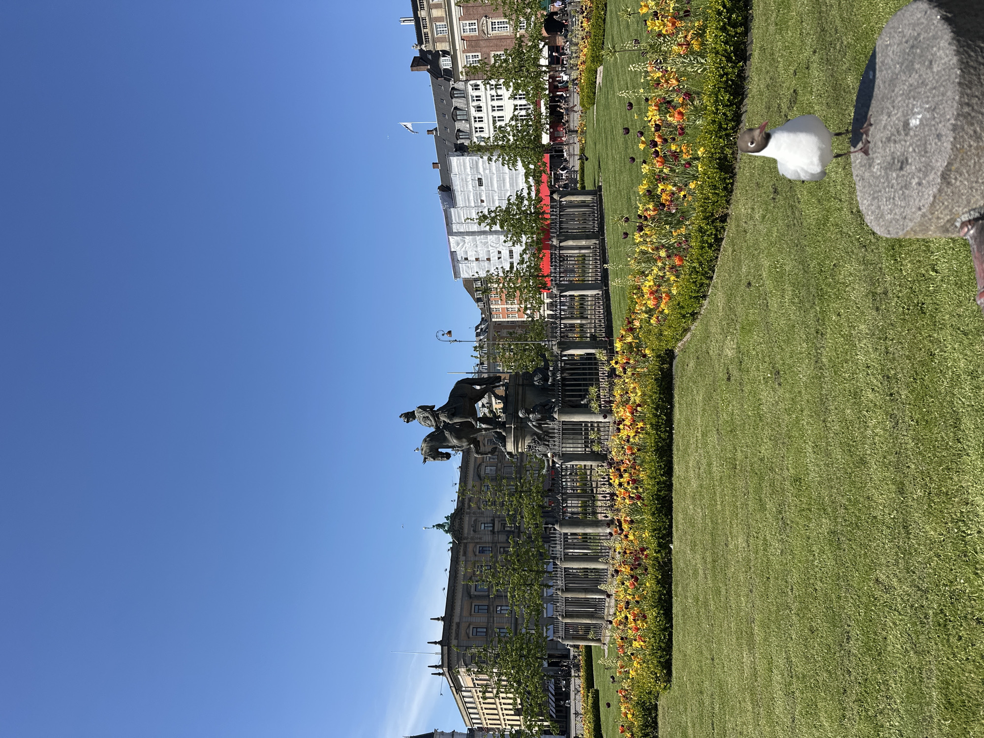 Clear skies frame Copenhagen monument in afternoon cityscape