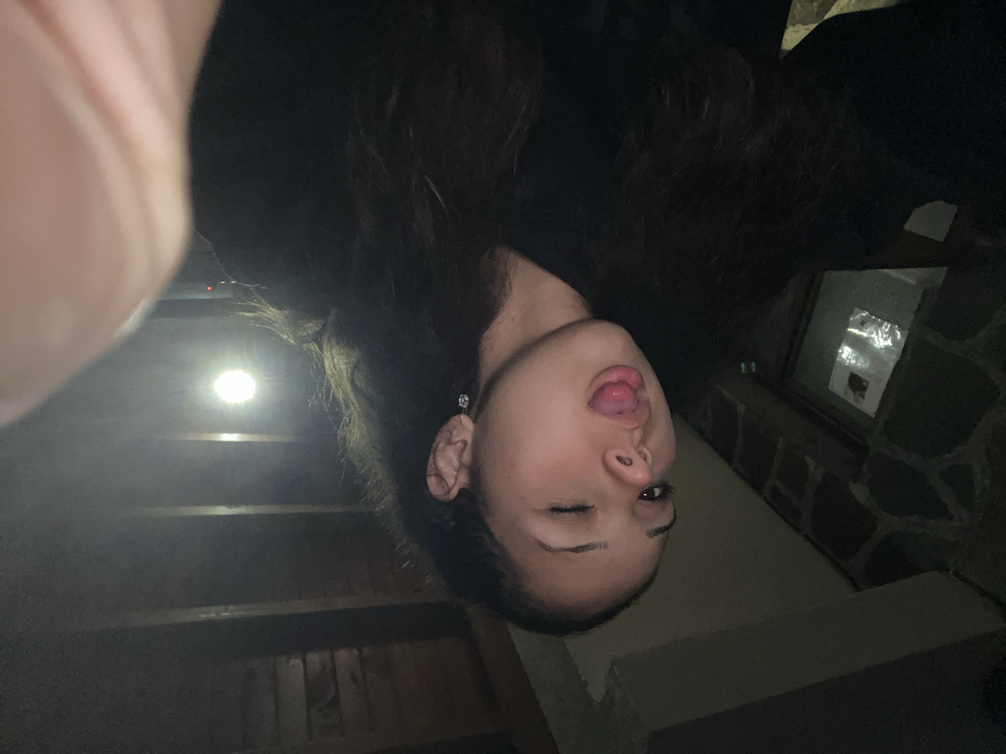 Woman takes playful selfies with dog in Bulgarian home