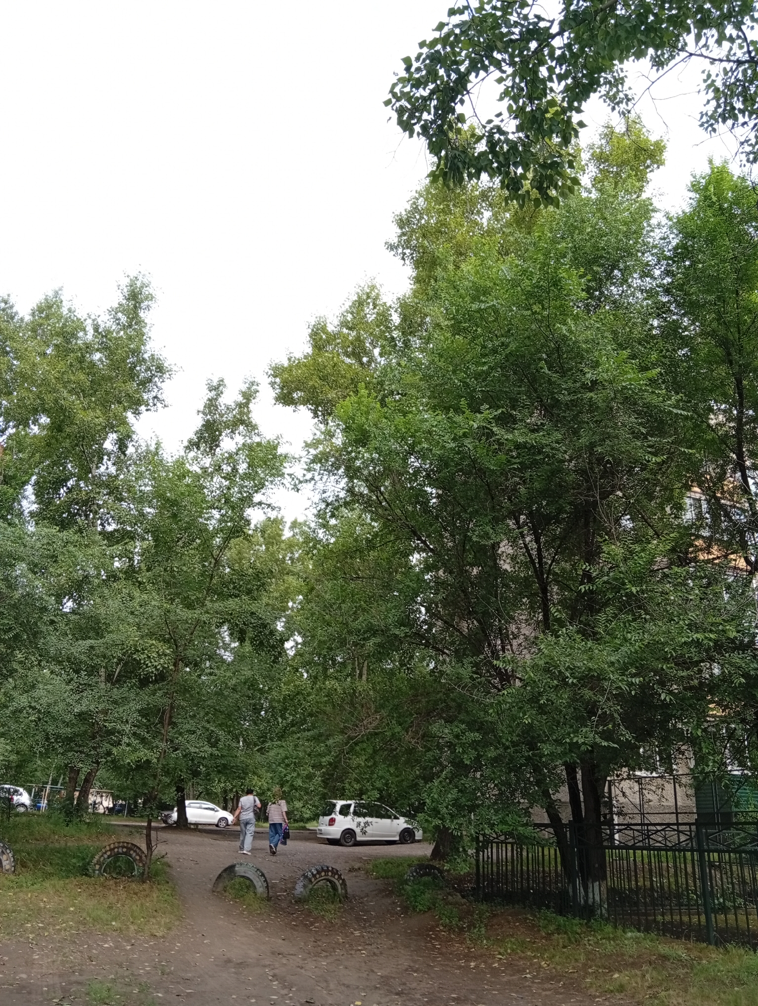 Overcast morning at a Minusinsk park, puddles and parked cars