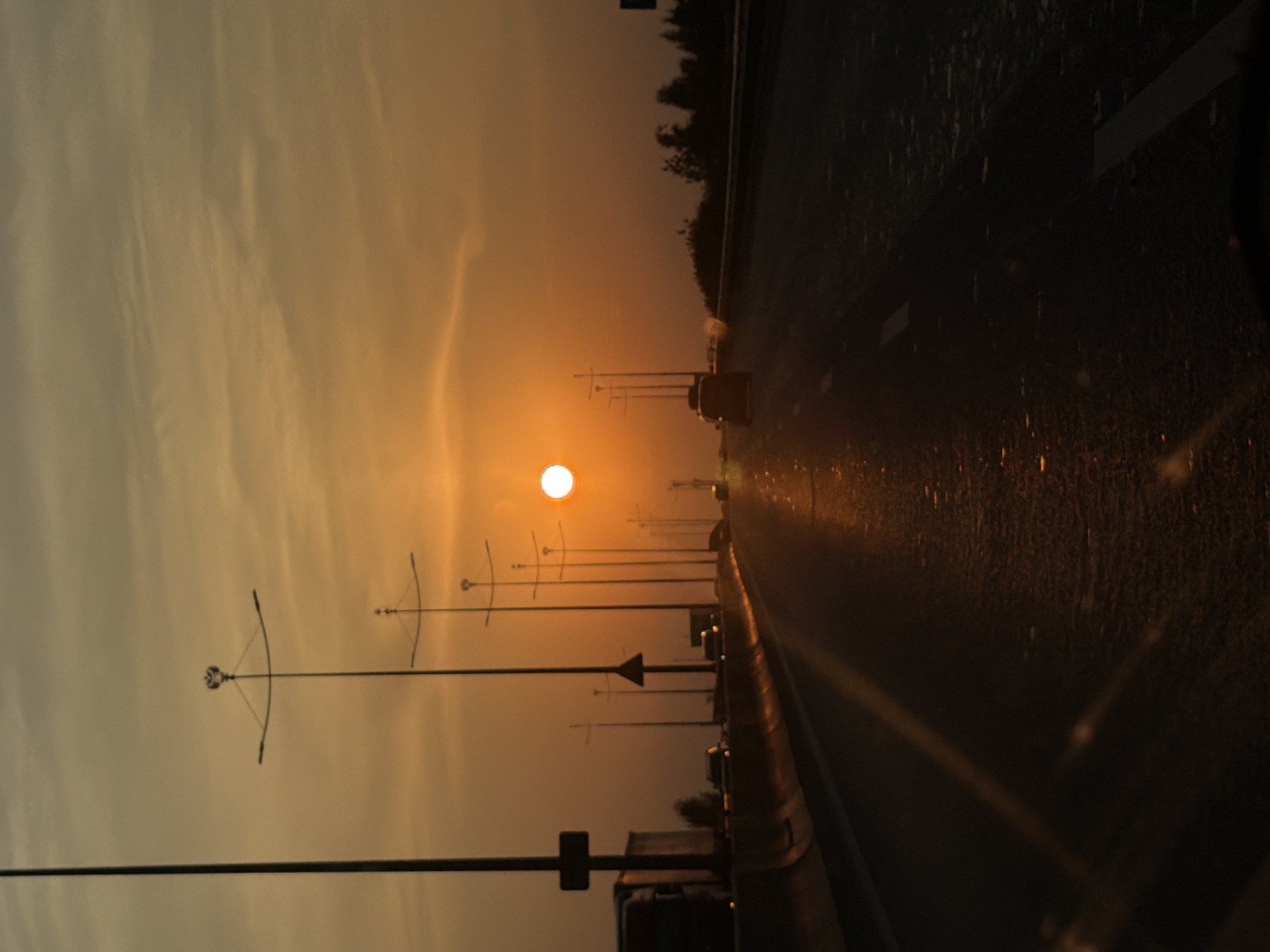 Golden hour on a Perm highway bridge at sunset