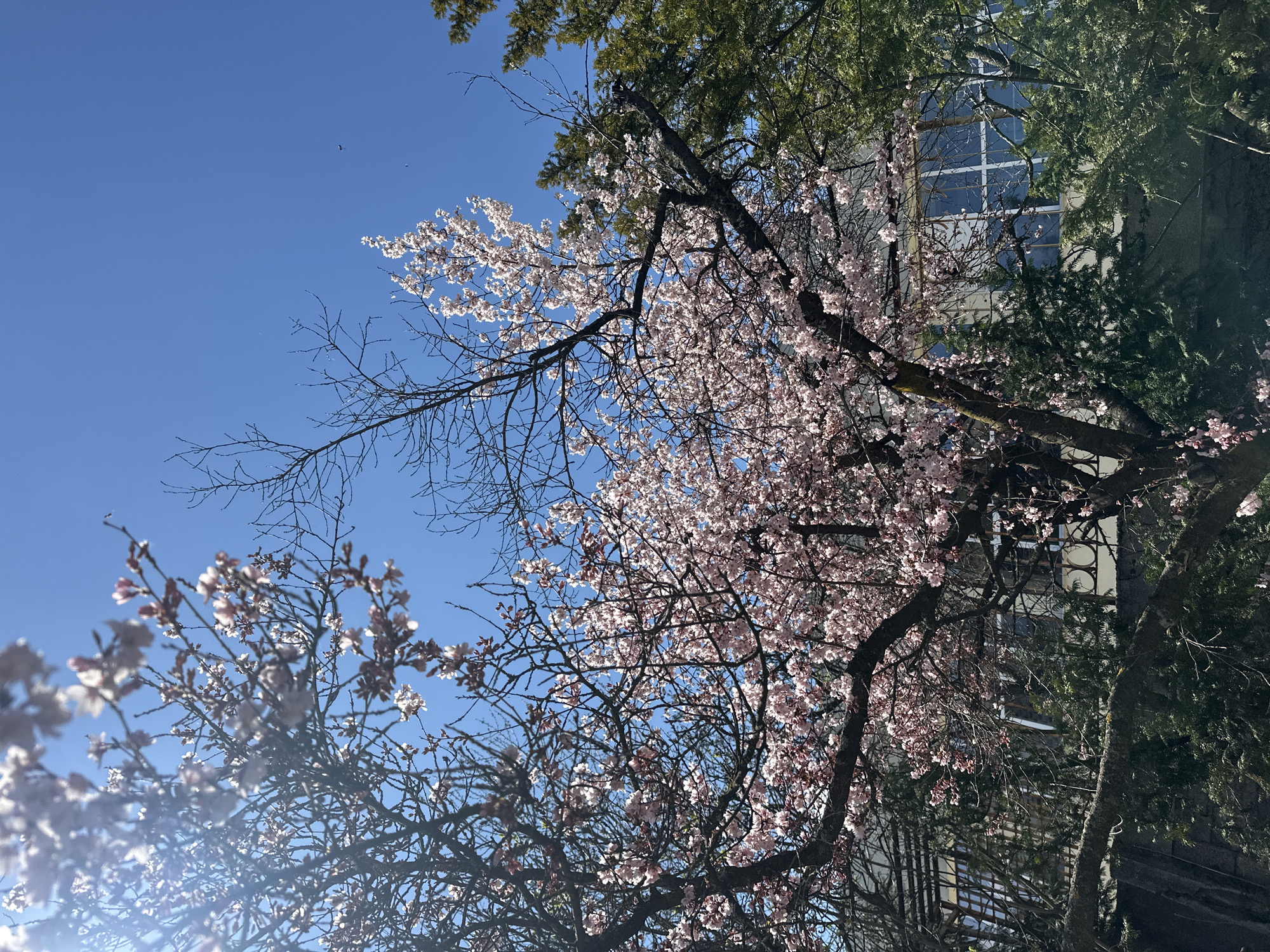 Spring day captured across Sofia landmarks and streets
