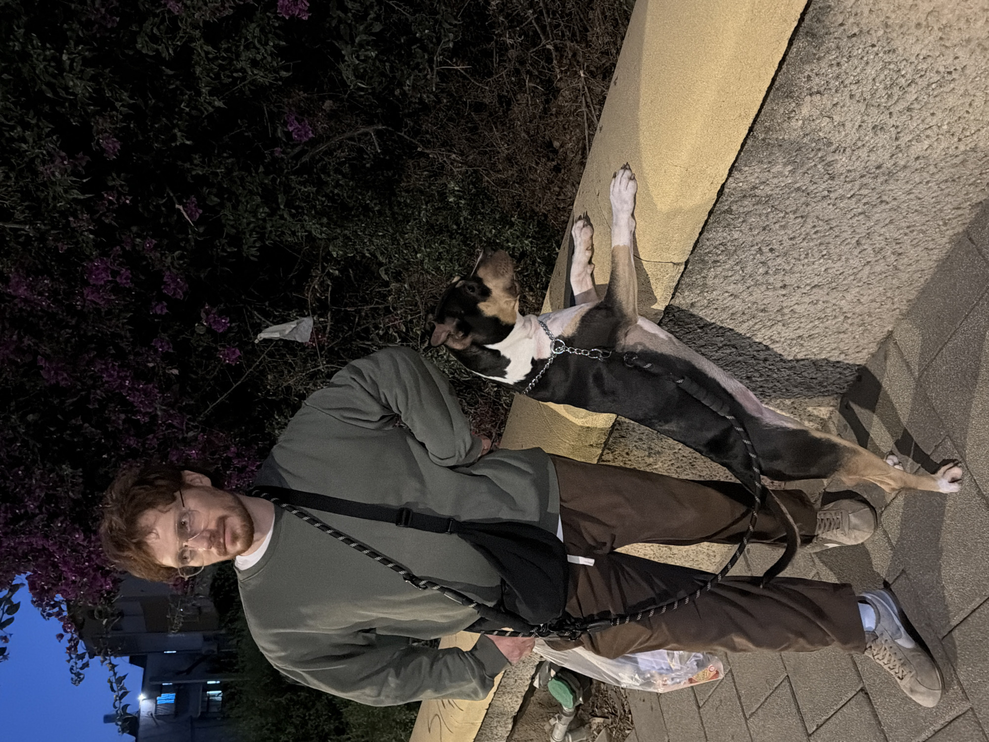 Man walks dog on Tel-Aviv sidewalk