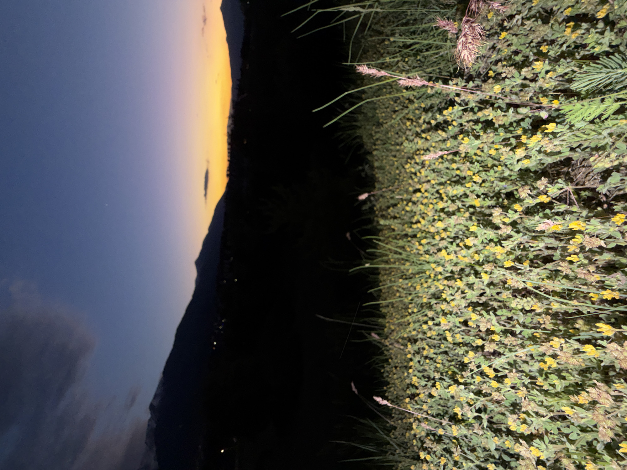 Evening mountain walk documented in Bansko, Bulgaria