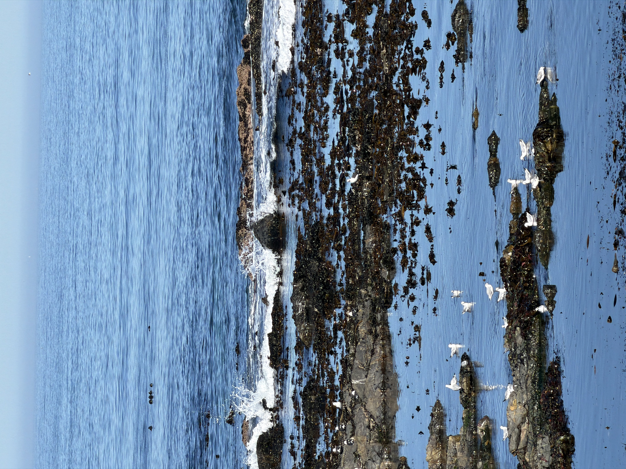 Cape Town coastal and mountain scenery captured by witnesses