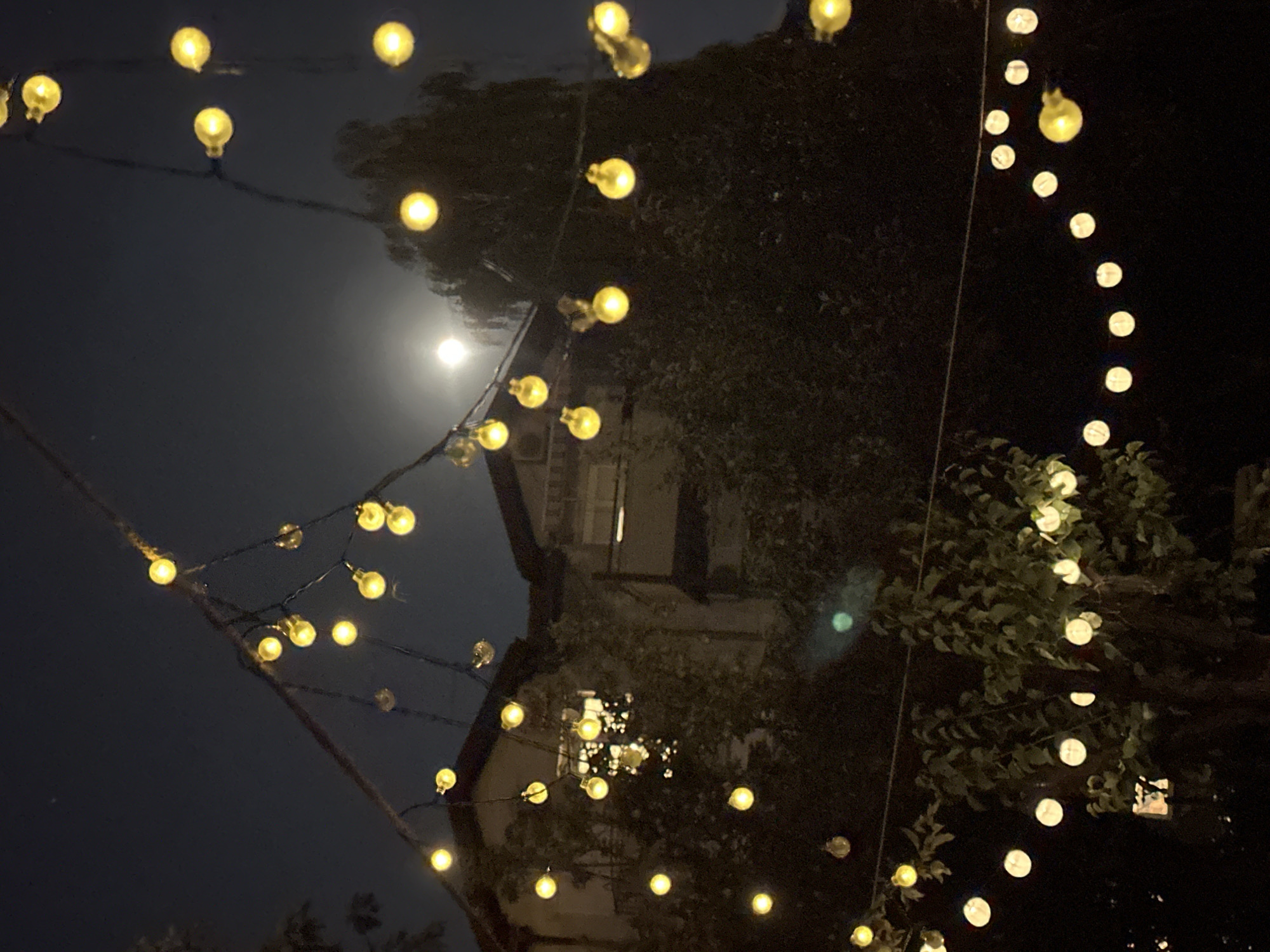 Warm summer night in a Belgrade backyard, globe lights overhead