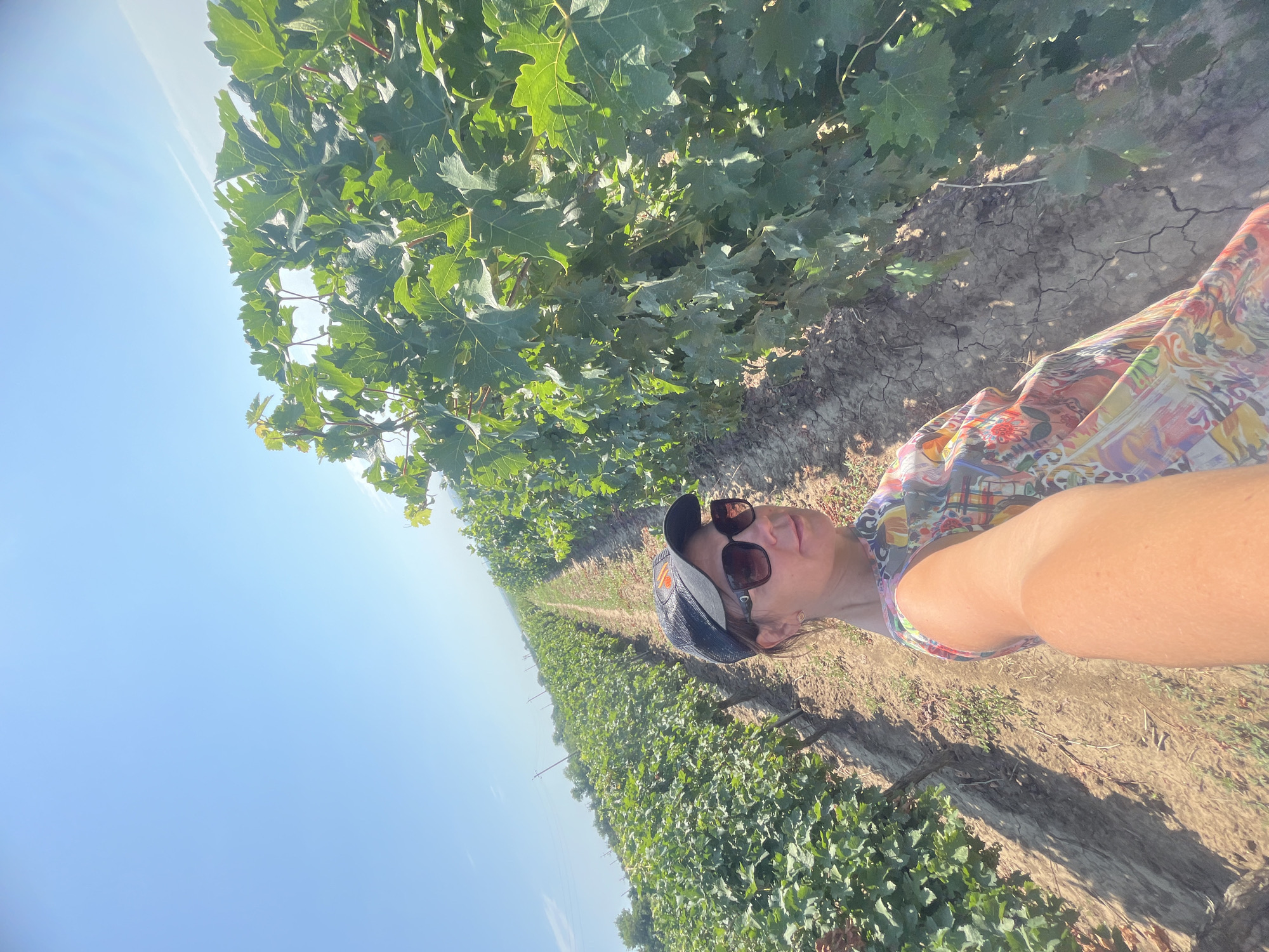 Selfie among the grapevines in a Russian vineyard