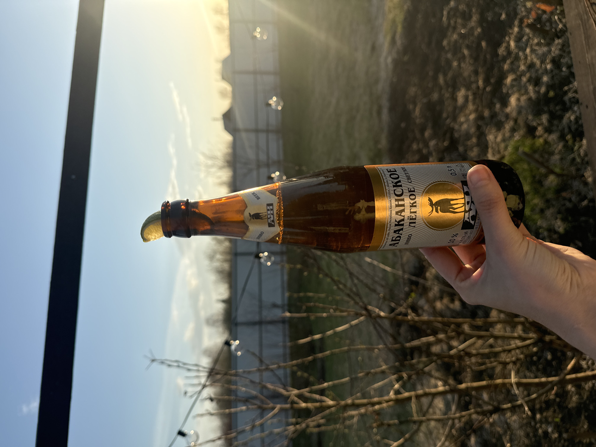 Casual backyard gathering with beer and beagle in Emel'yanovo