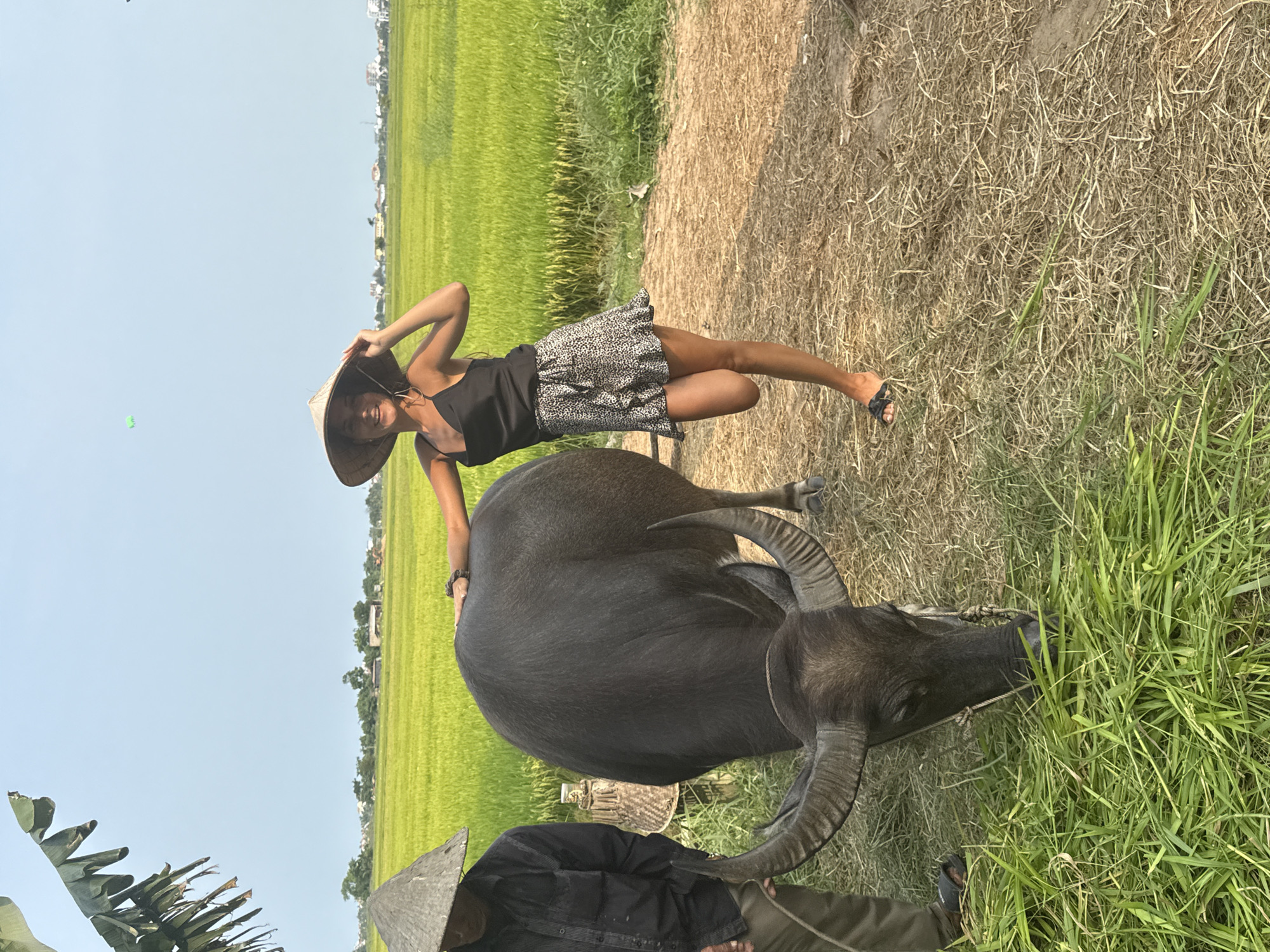 Tourists pose with water buffalo in Vietnamese rice paddies