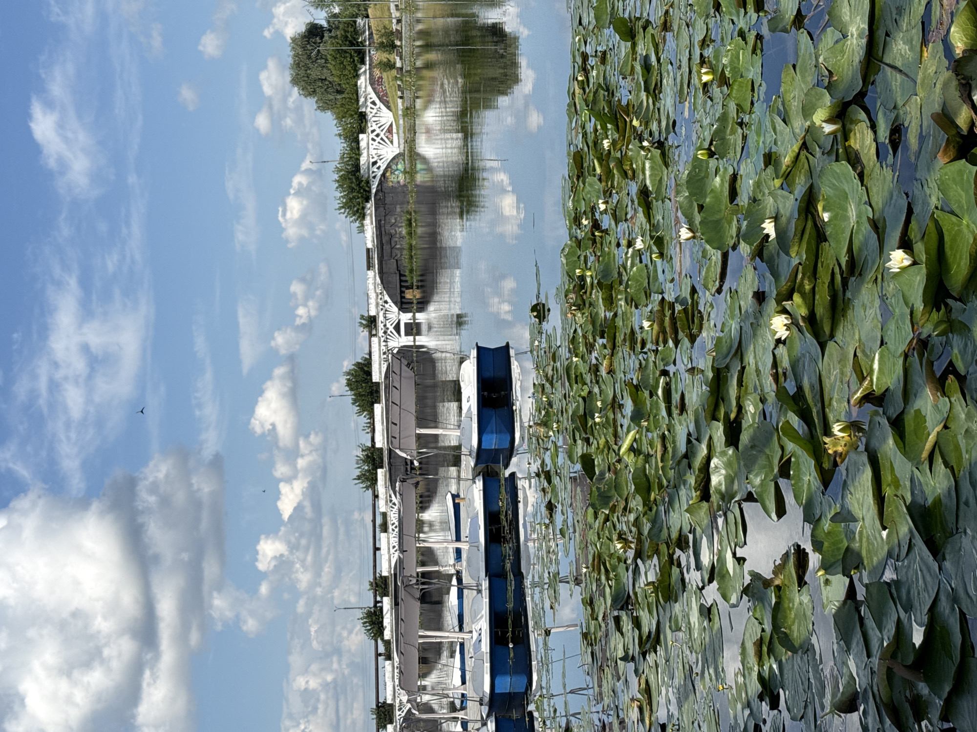 Café and lily-covered reservoir on a Votkinsk summer morning