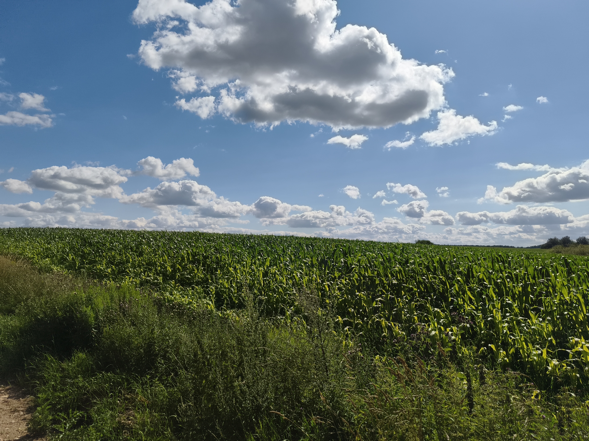Гаранскі сельскі Савет, Belarus