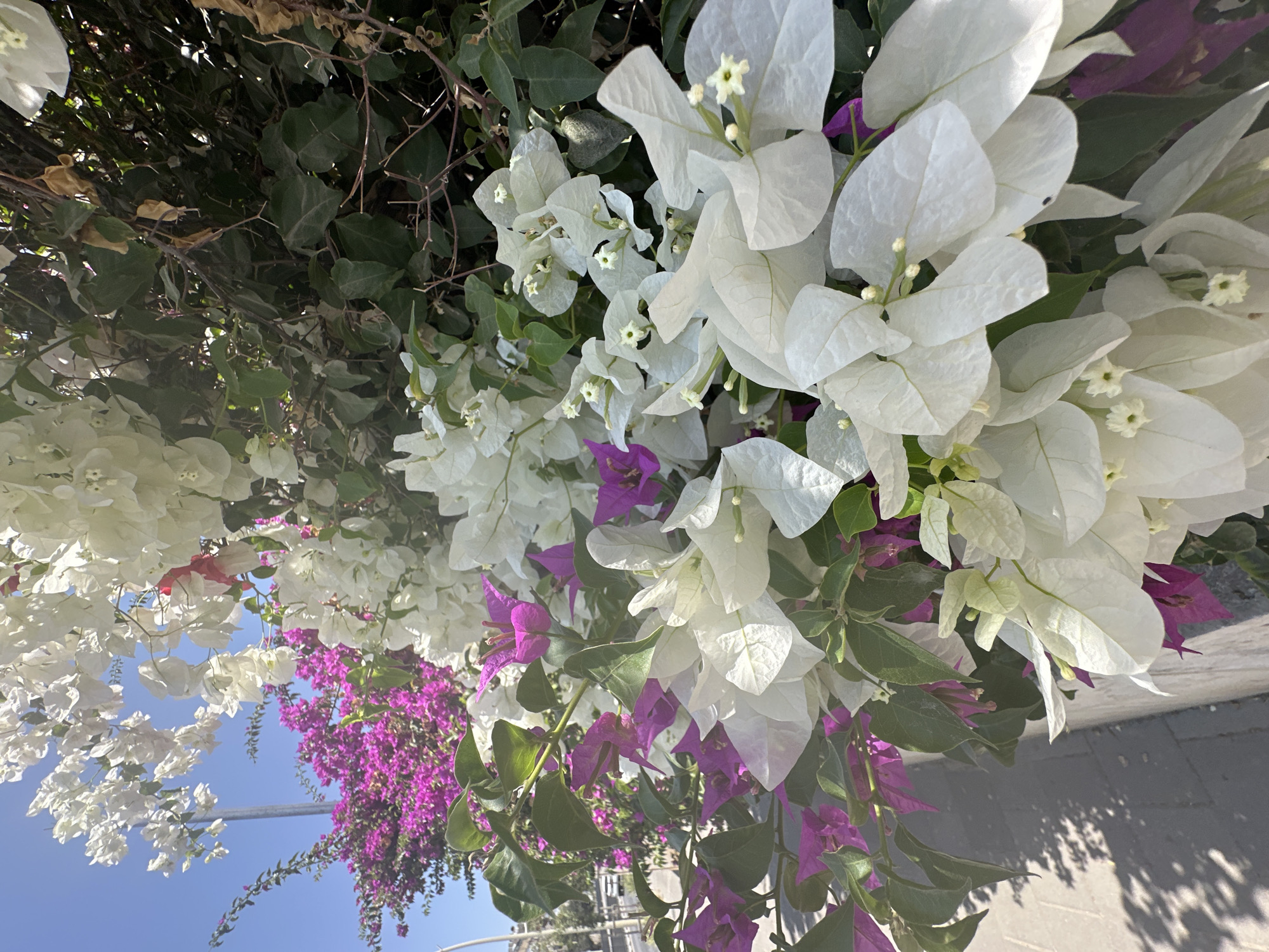 Petah Tikva, Israel