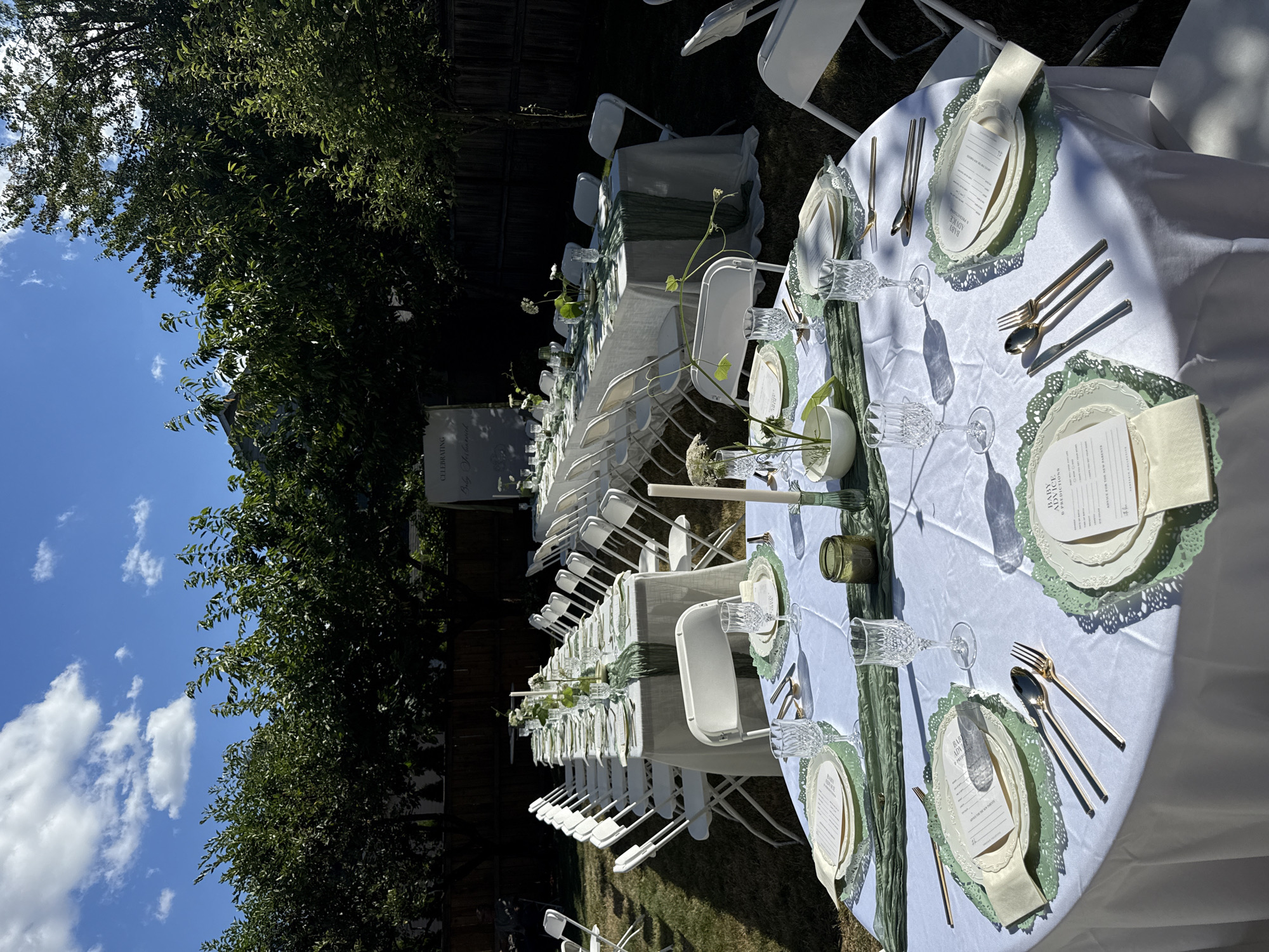 Backyard table set for outdoor dining, cherry tree in bloom