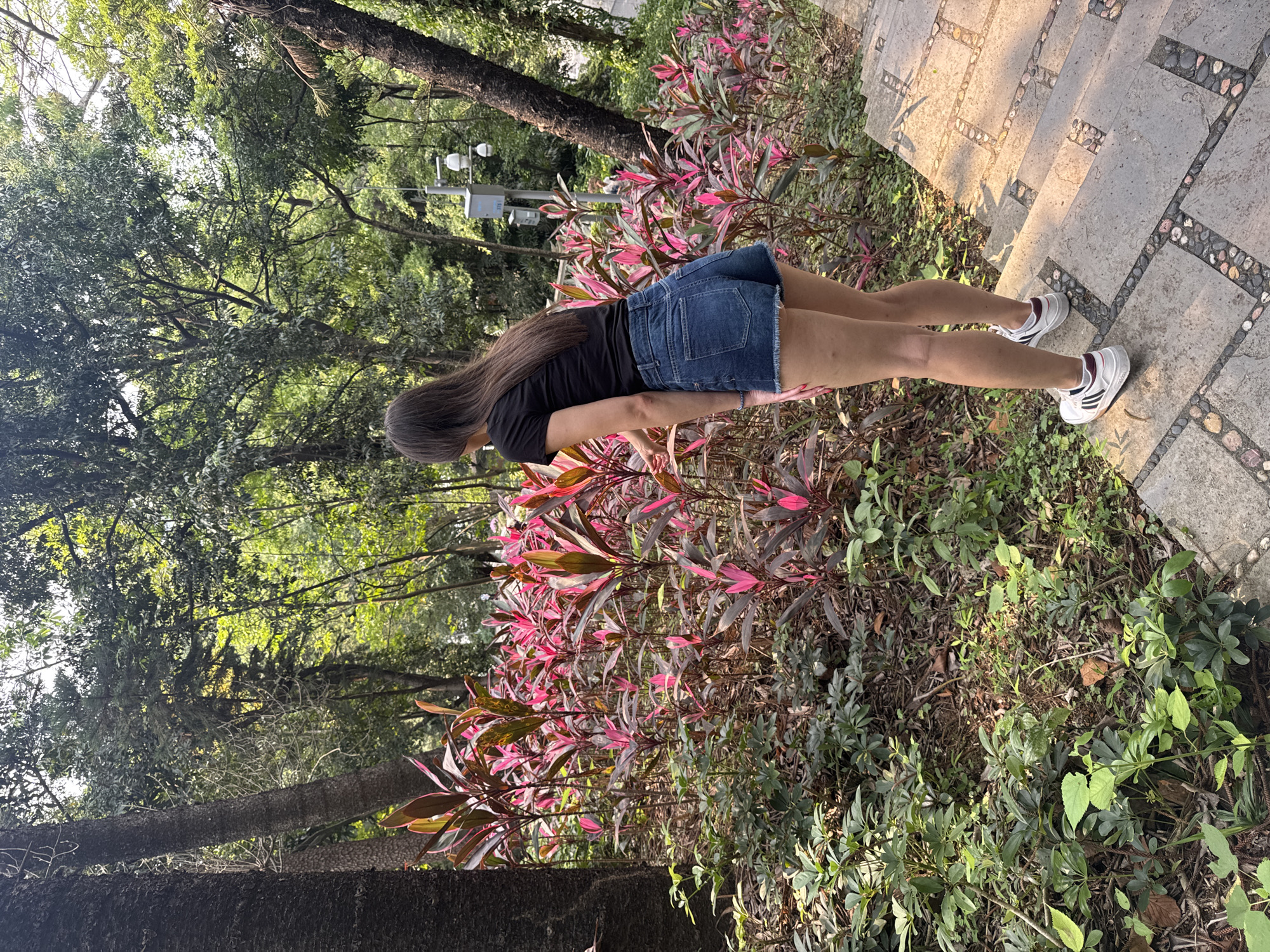 Woman spotted on stone stairs in wooded Yuexiu District