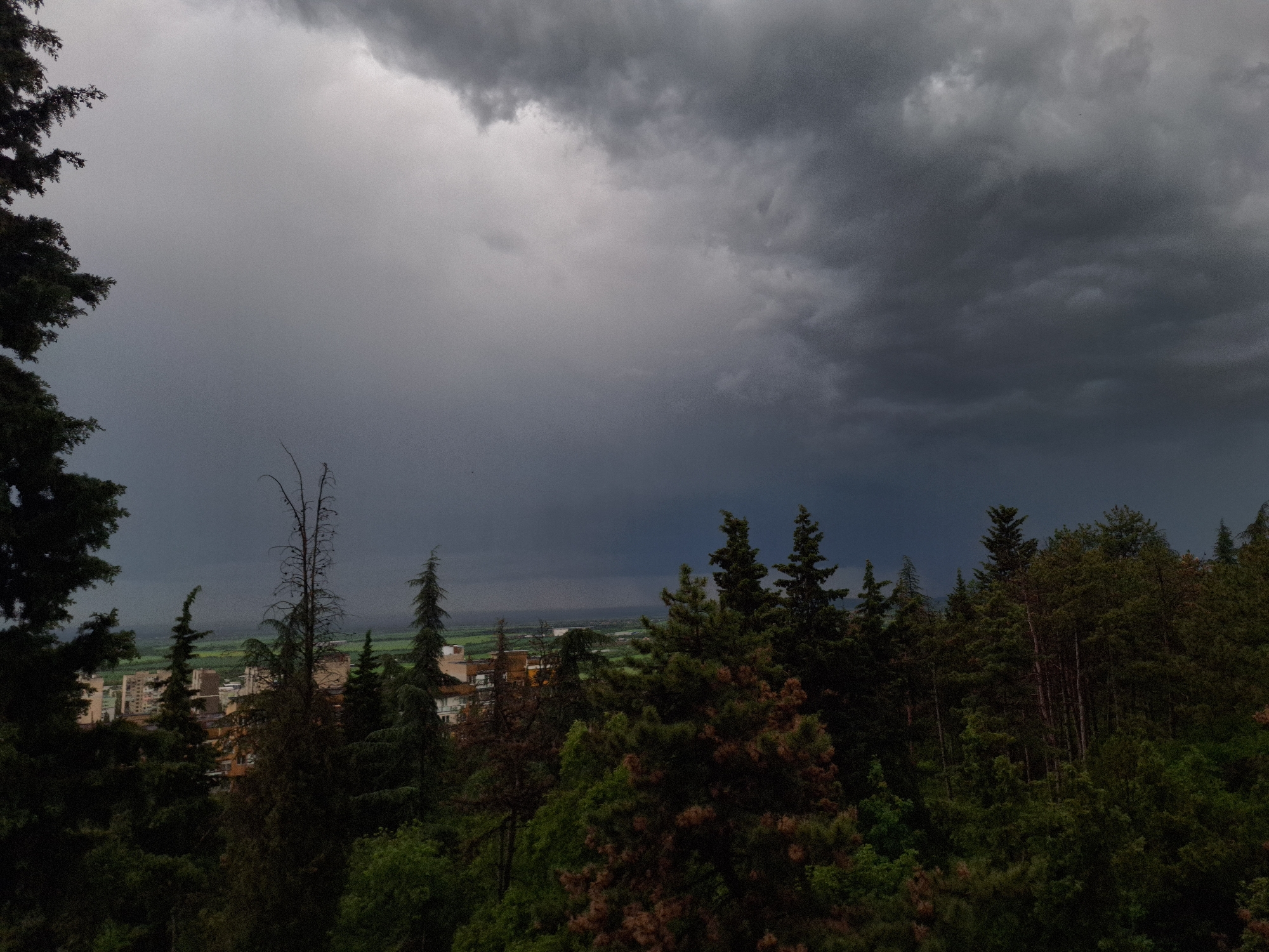 Storm clouds gather over wooded landscape with distant buildings