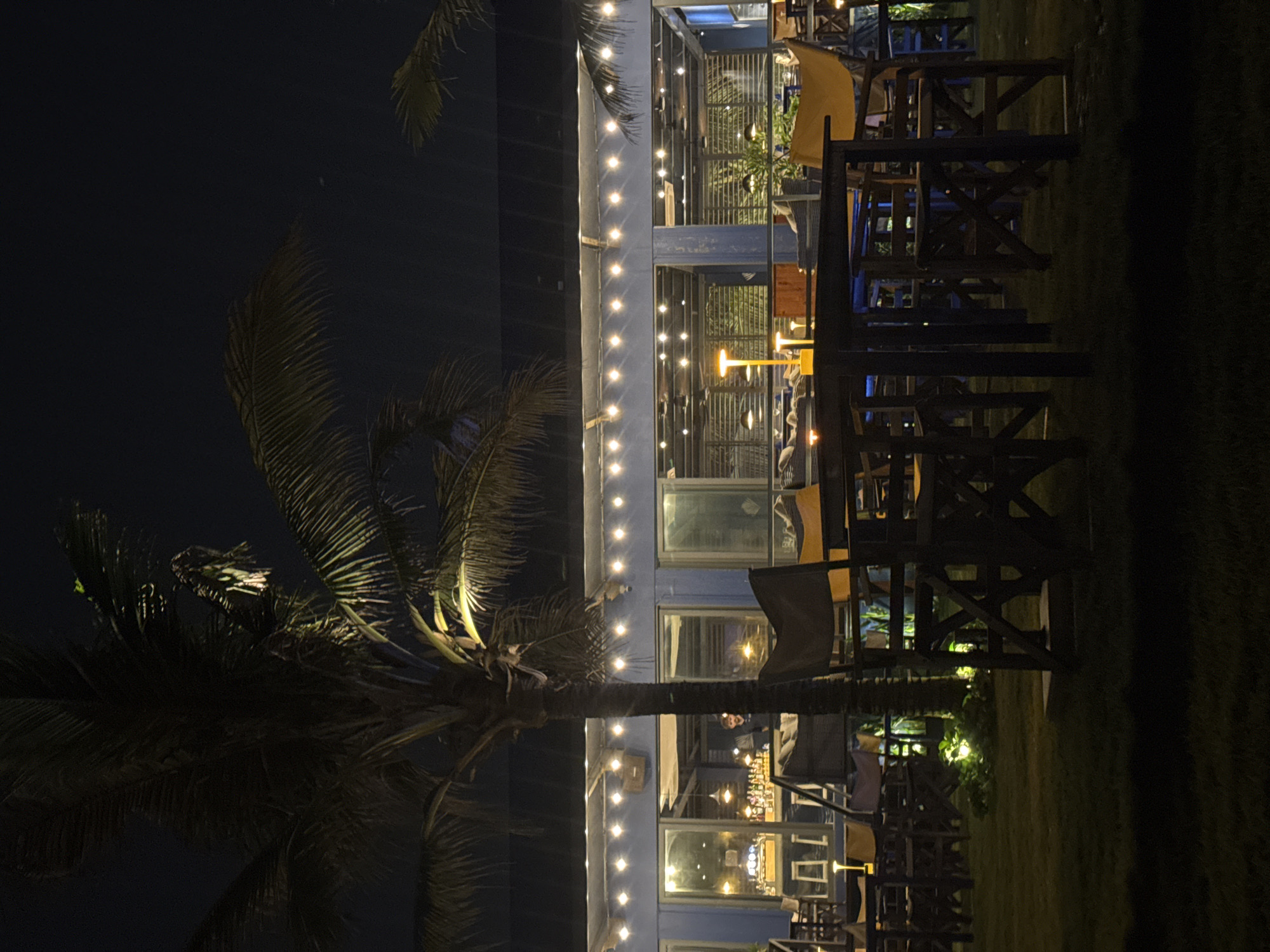 Casual moments captured in Đà Nẵng featuring nighttime building, DJ selfie
