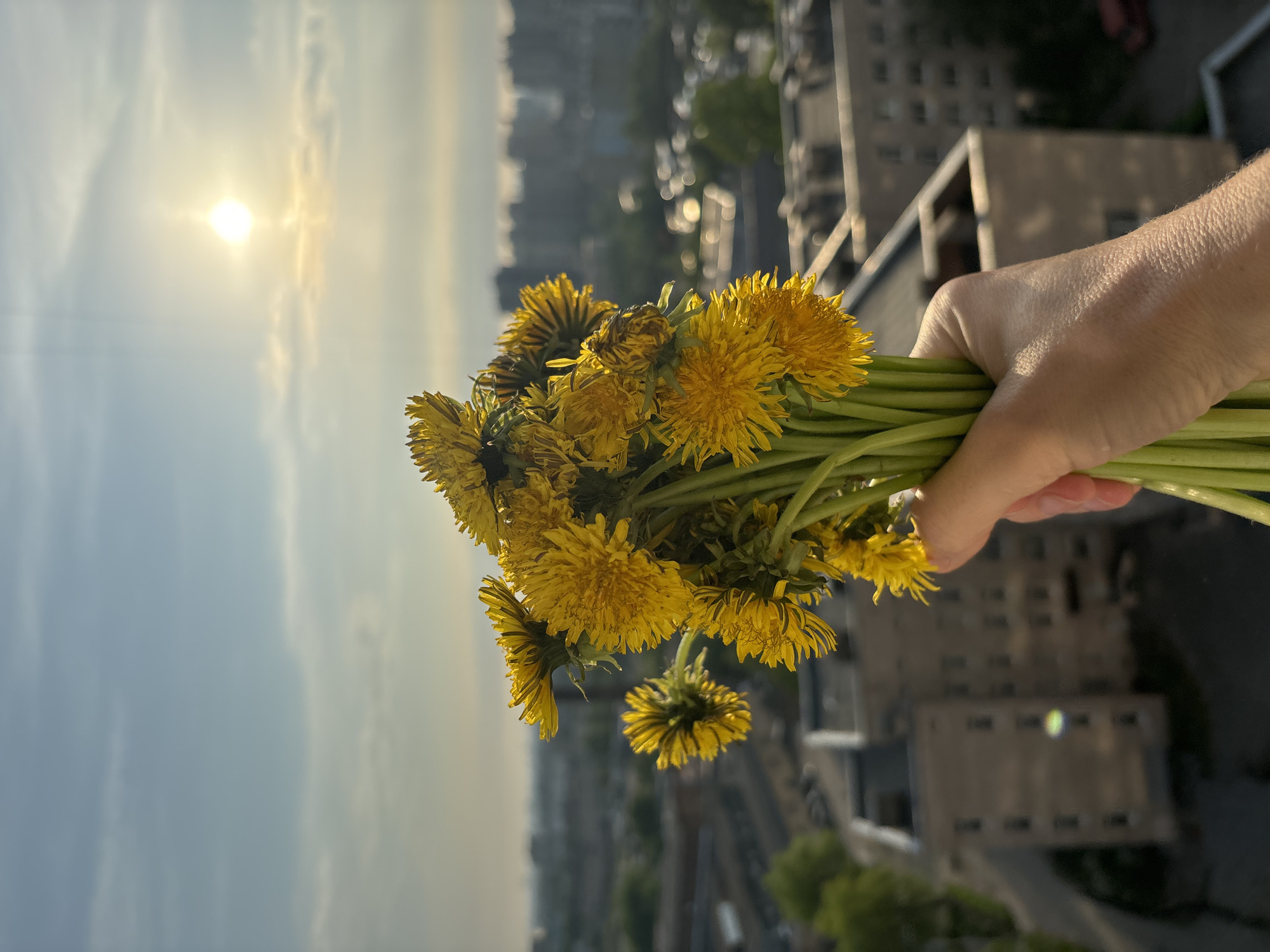 Woman holds dandelion bouquet in urban setting during afternoon