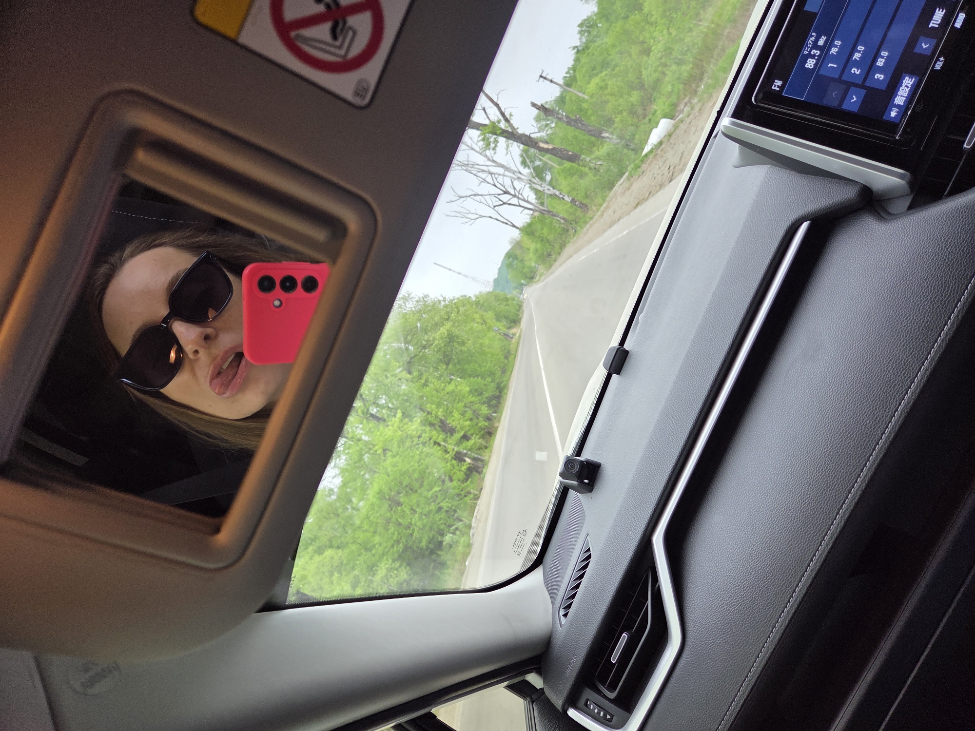 Driver documents morning journey through Birobidzhan toward lattice tower