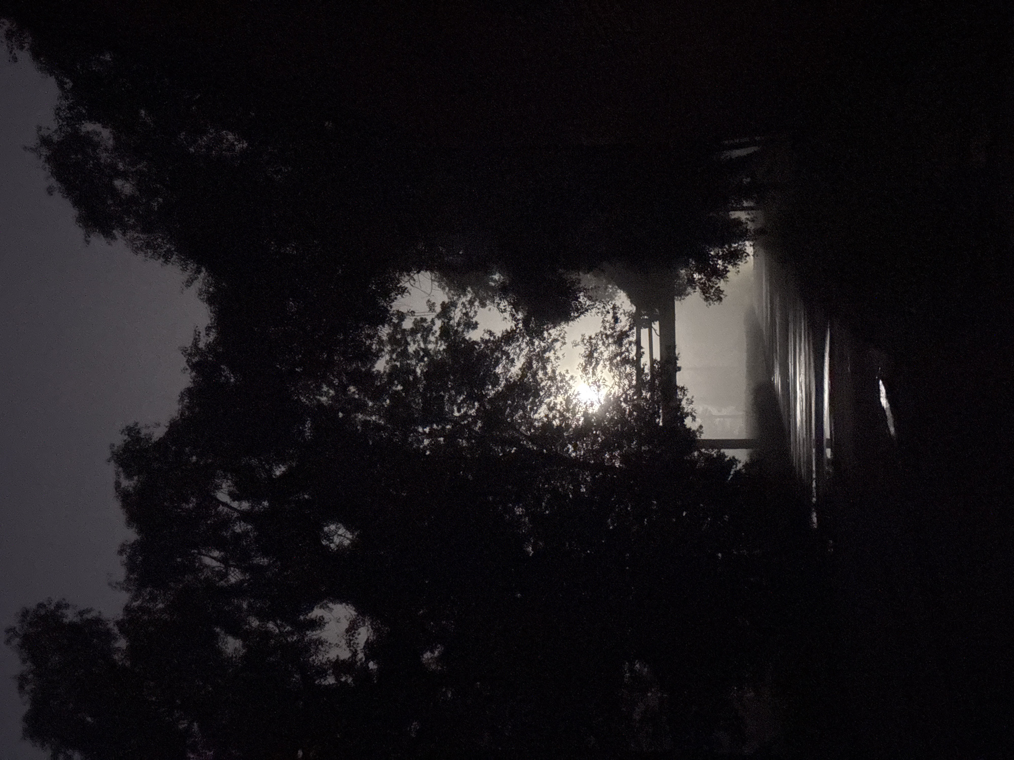 Misty nighttime scenes captured on wet Homyel pathway
