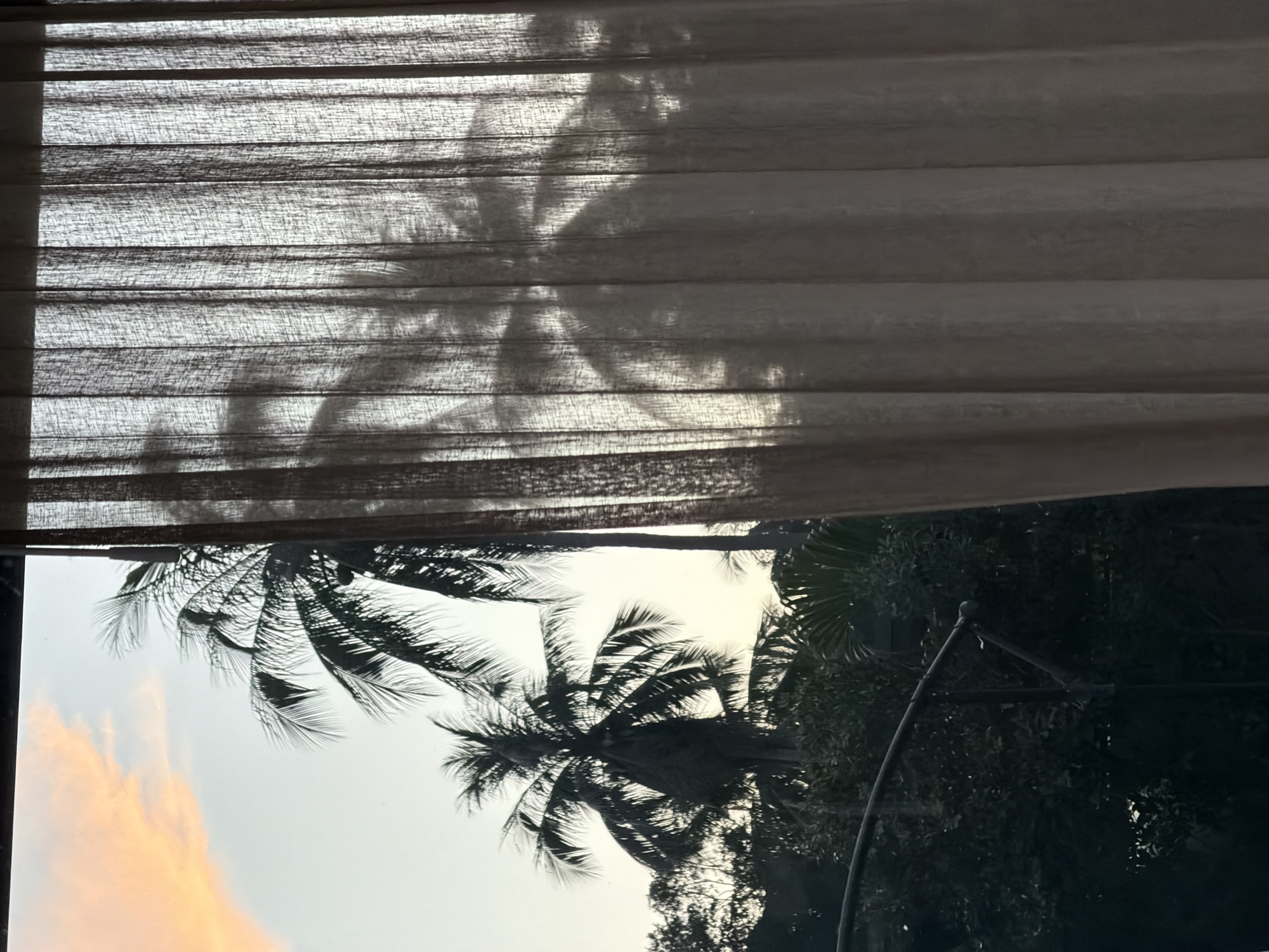 Palm tree shadows cast on window blinds in Thailand