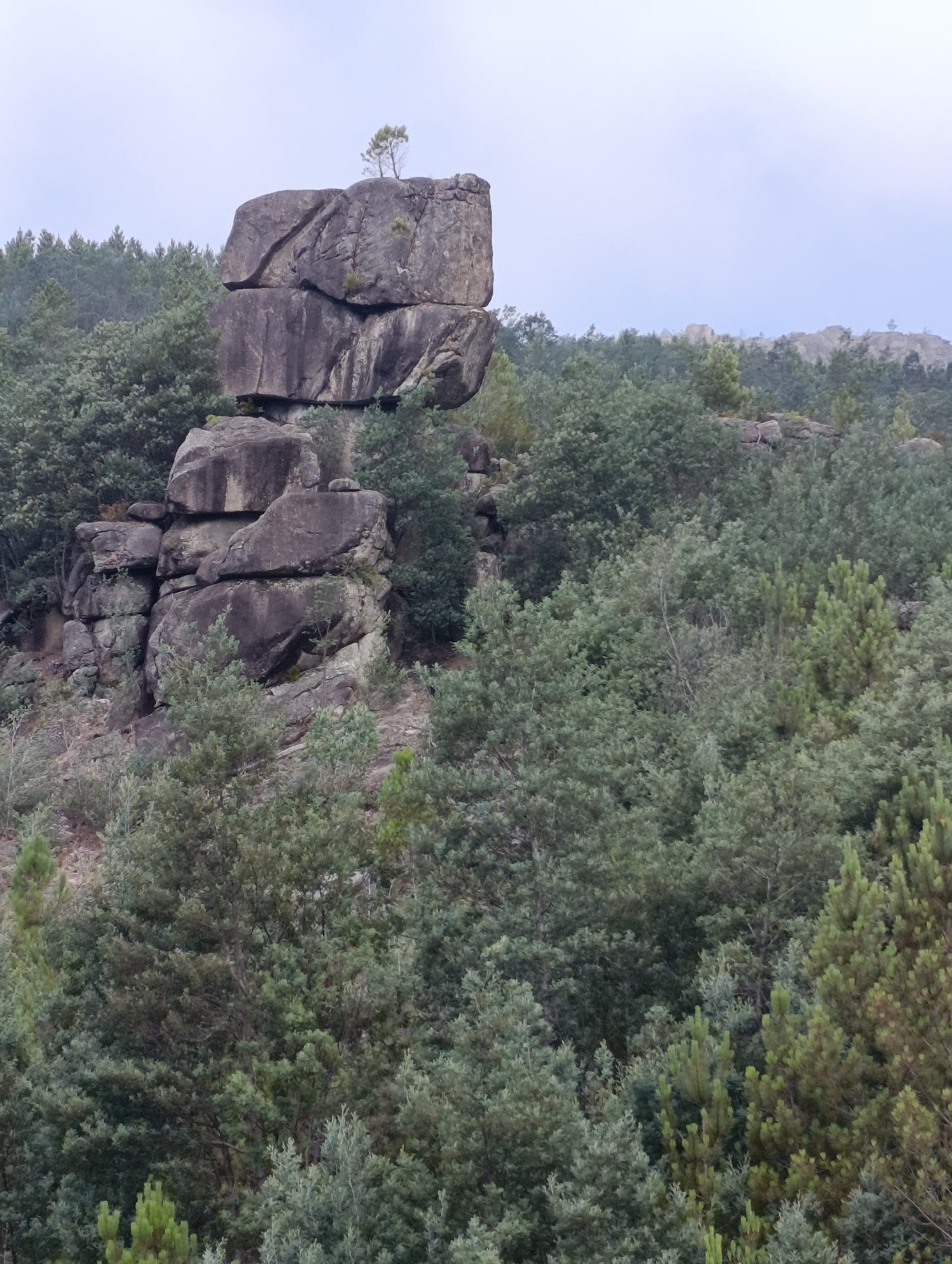 Morning stop in Terras de Bouro's forested hills, Portugal