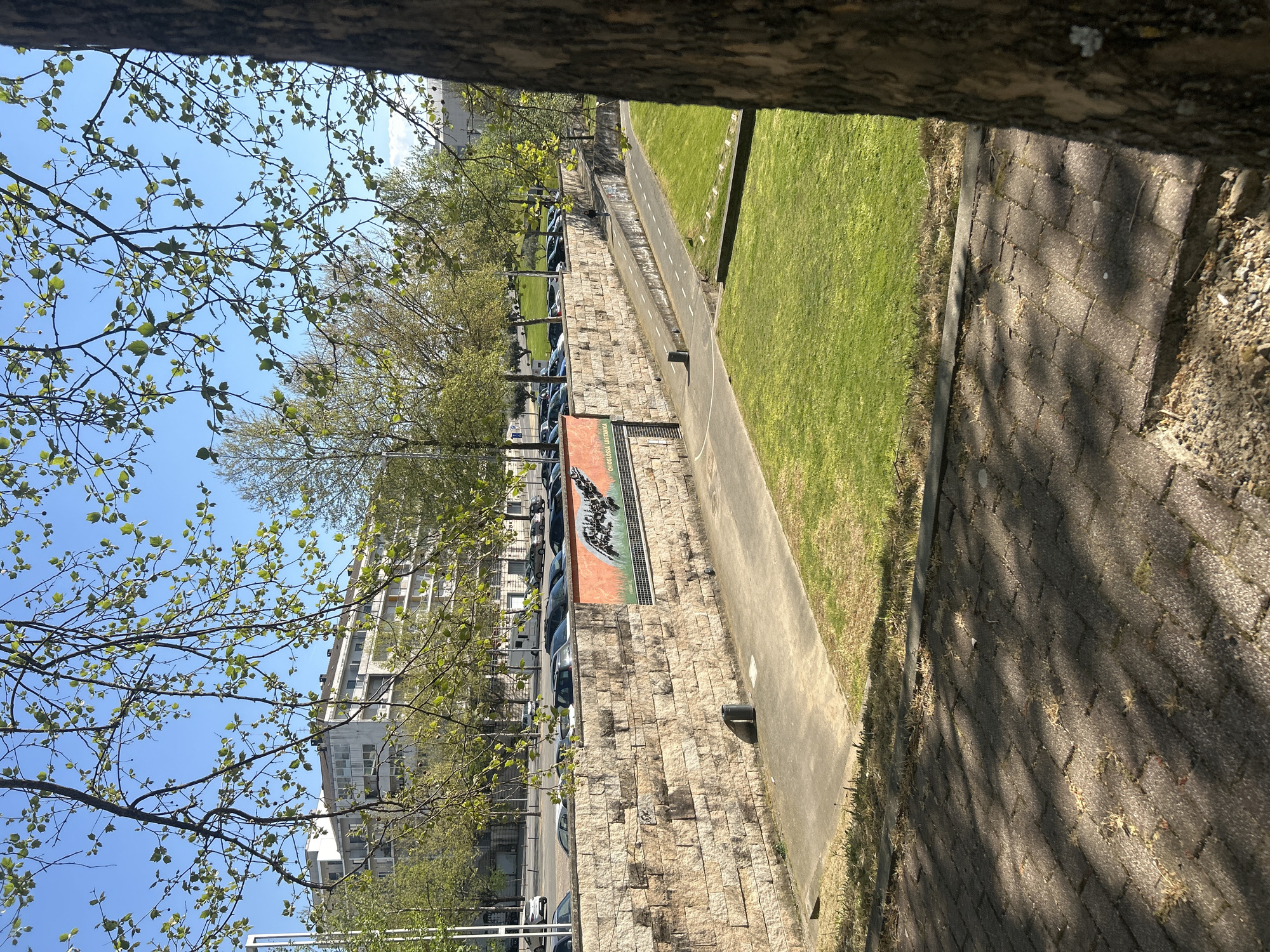 Spring afternoon park scenes documented in Vila Real, Portugal