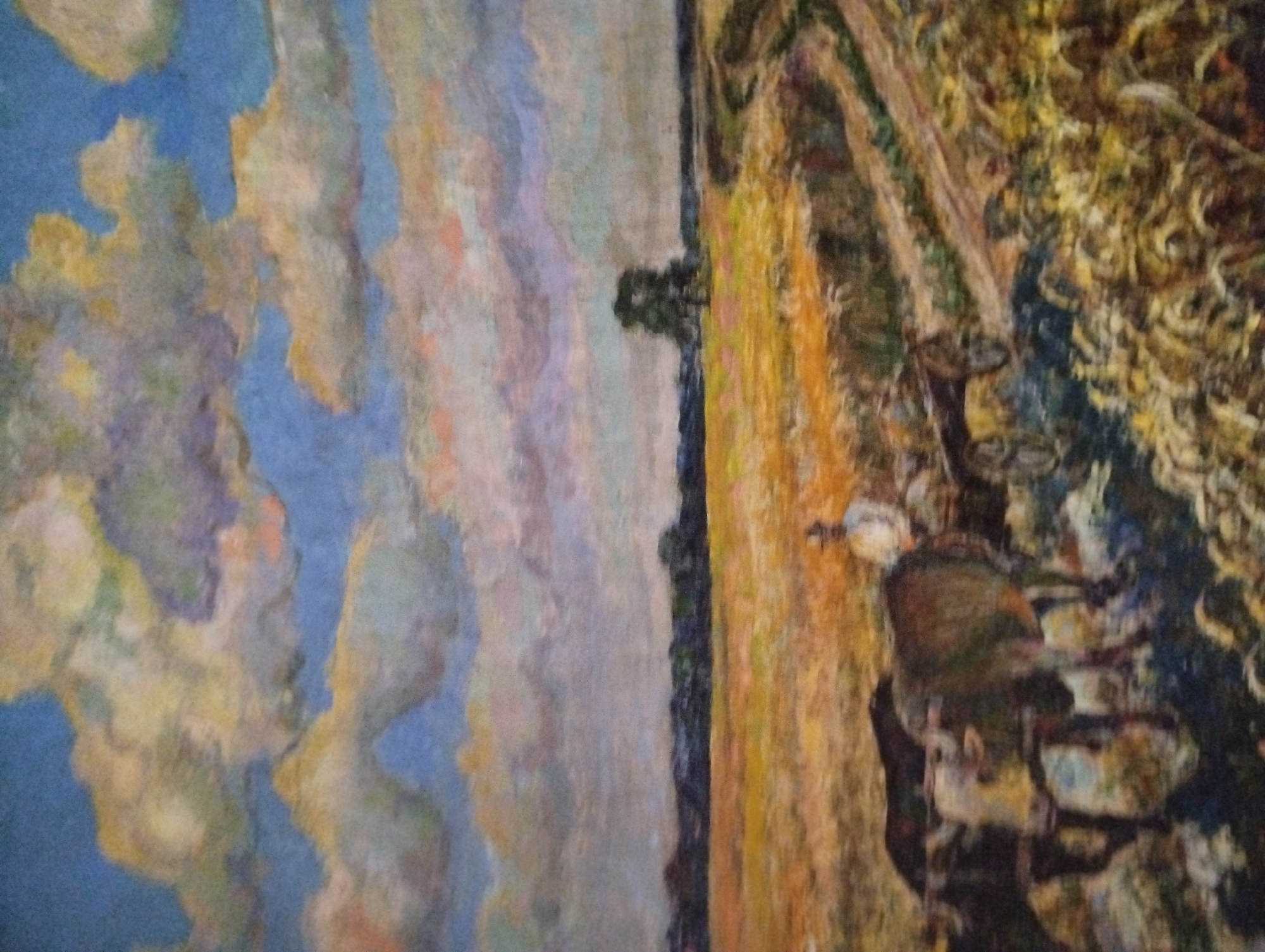 Art collection documented in Sumy home features Ukrainian landscapes