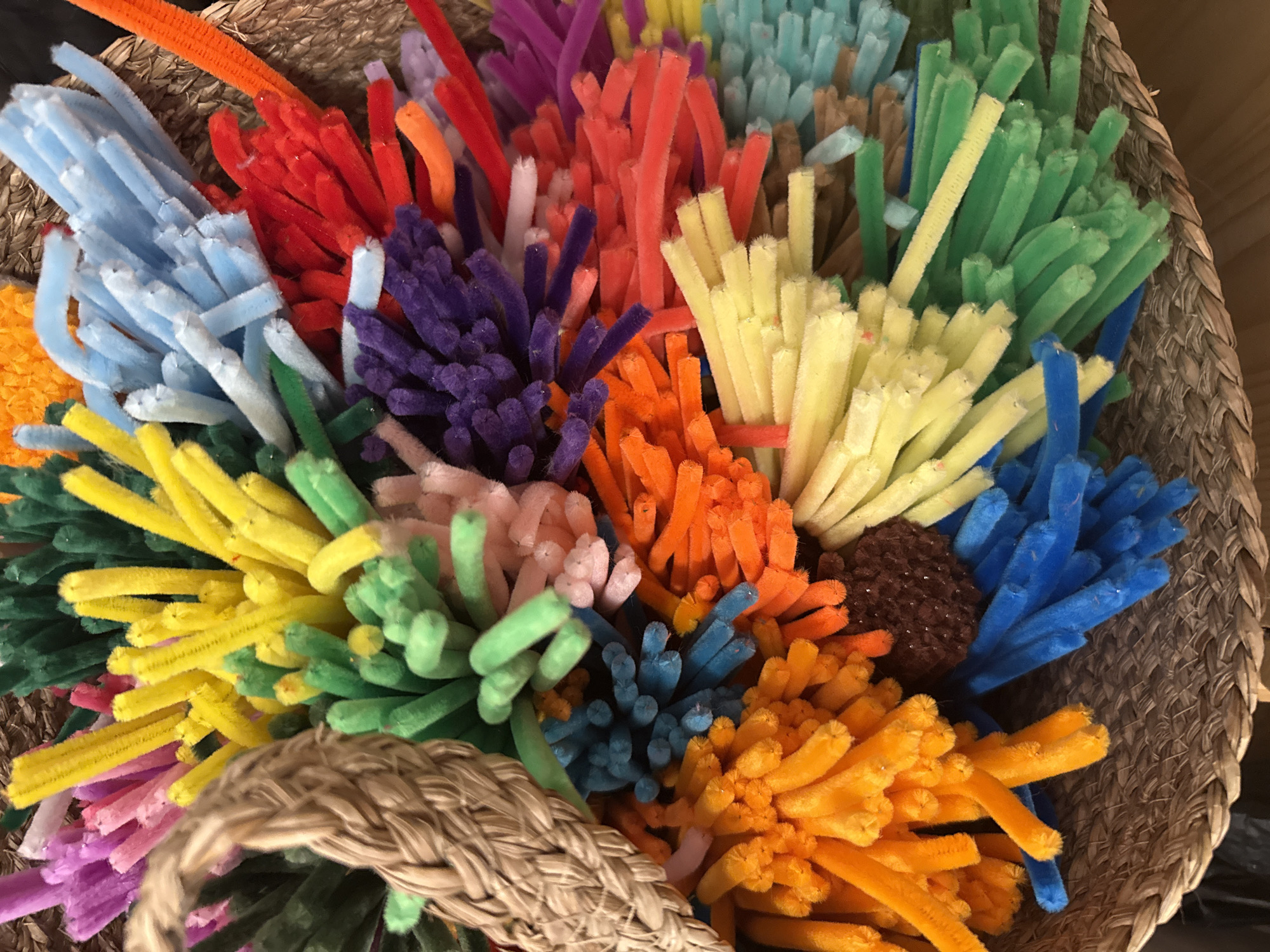 Craft supplies and wet garden flowers documented in Troyan