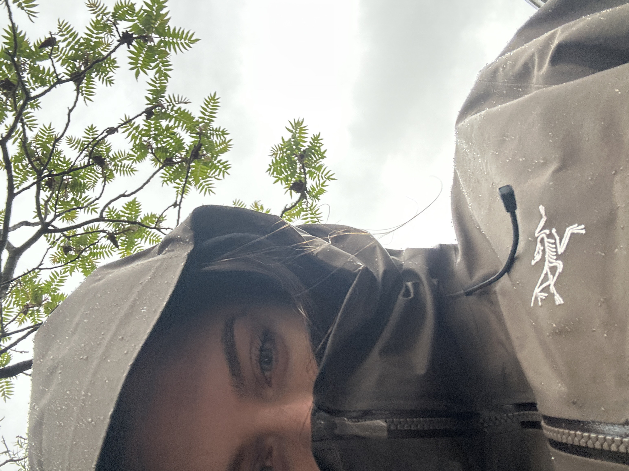 Two people in rain gear observed during morning shower