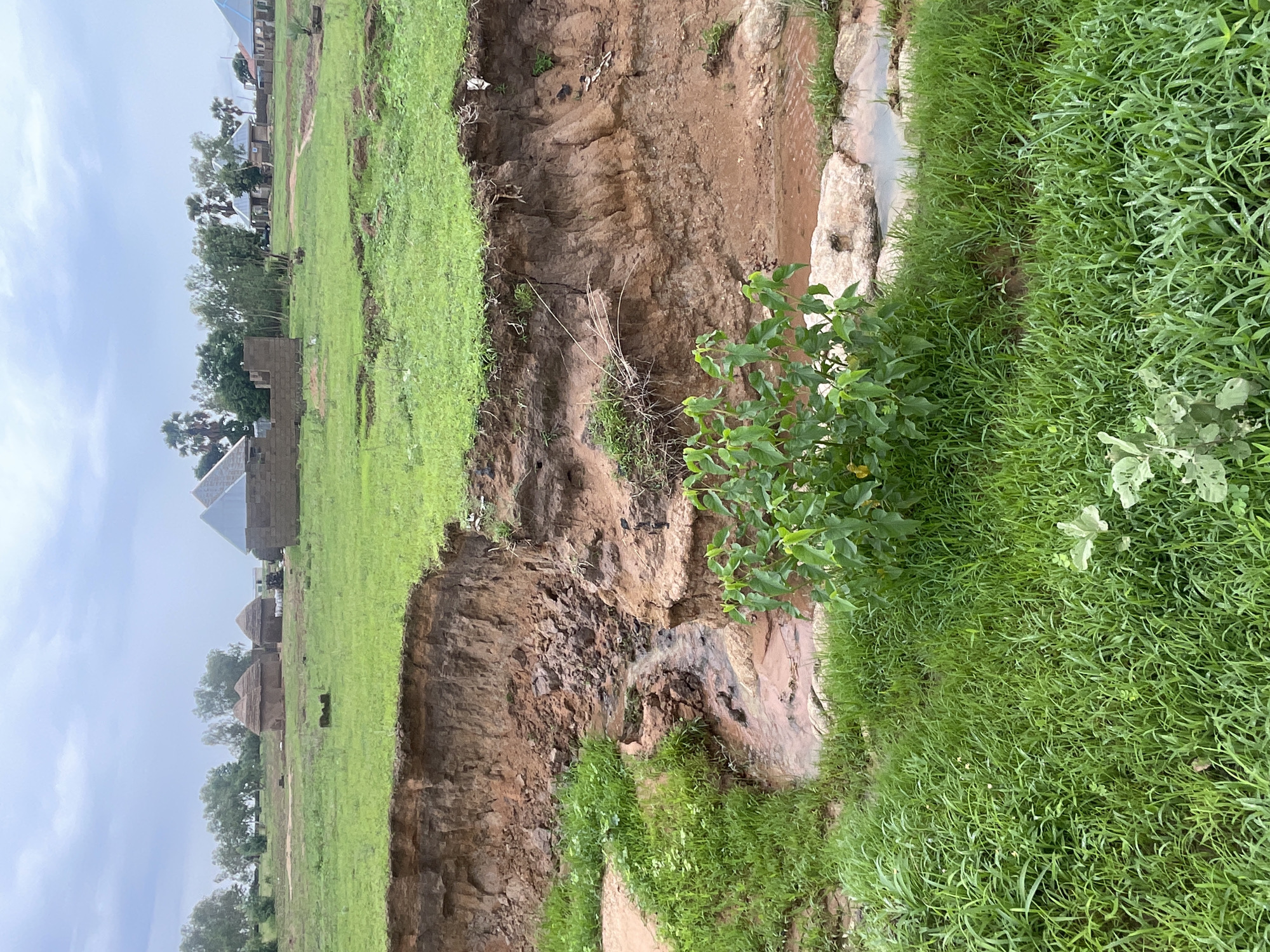 Erosion and construction coexist in rural Jauro Yinu, Nigeria