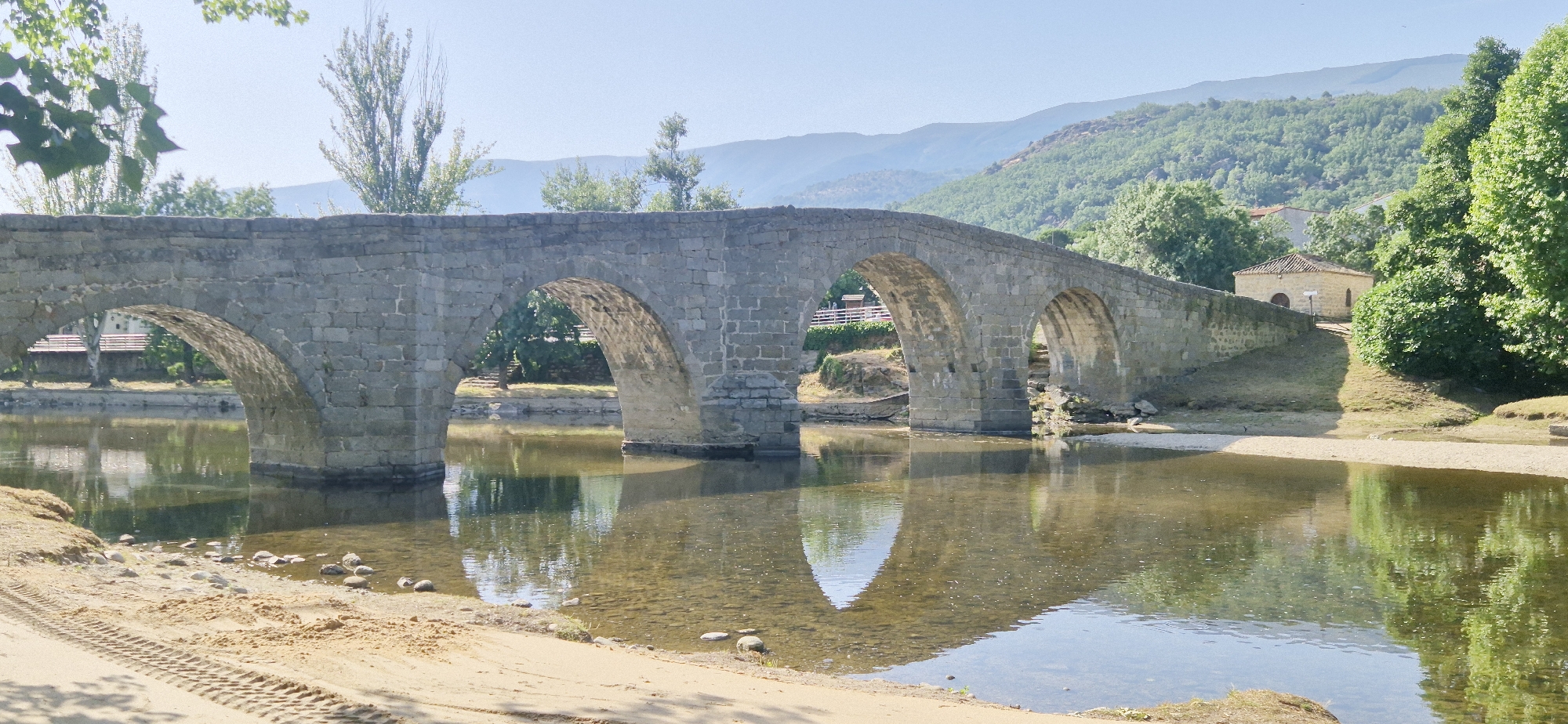 Historic stone bridge, wildflowers, and a dog on a summer morning