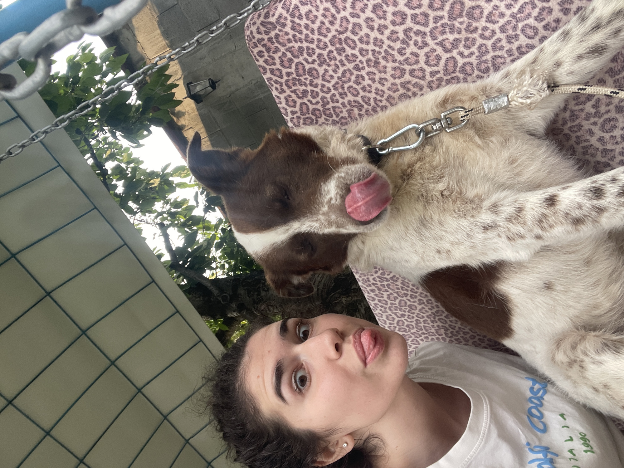Woman and dog spend leisurely afternoon together in Sofia