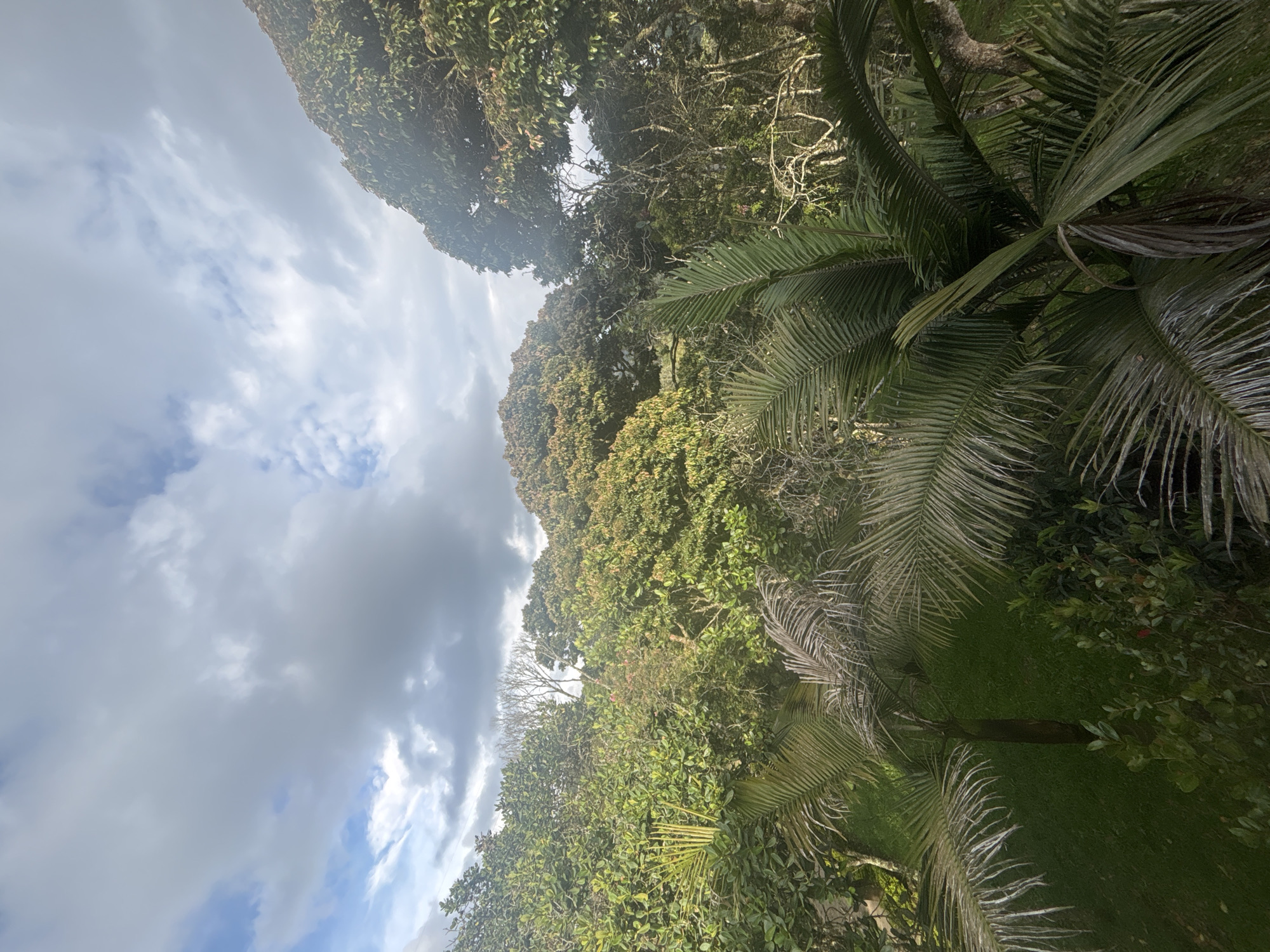 Evening documentation of Guarne Colombia's natural landscape and roadways