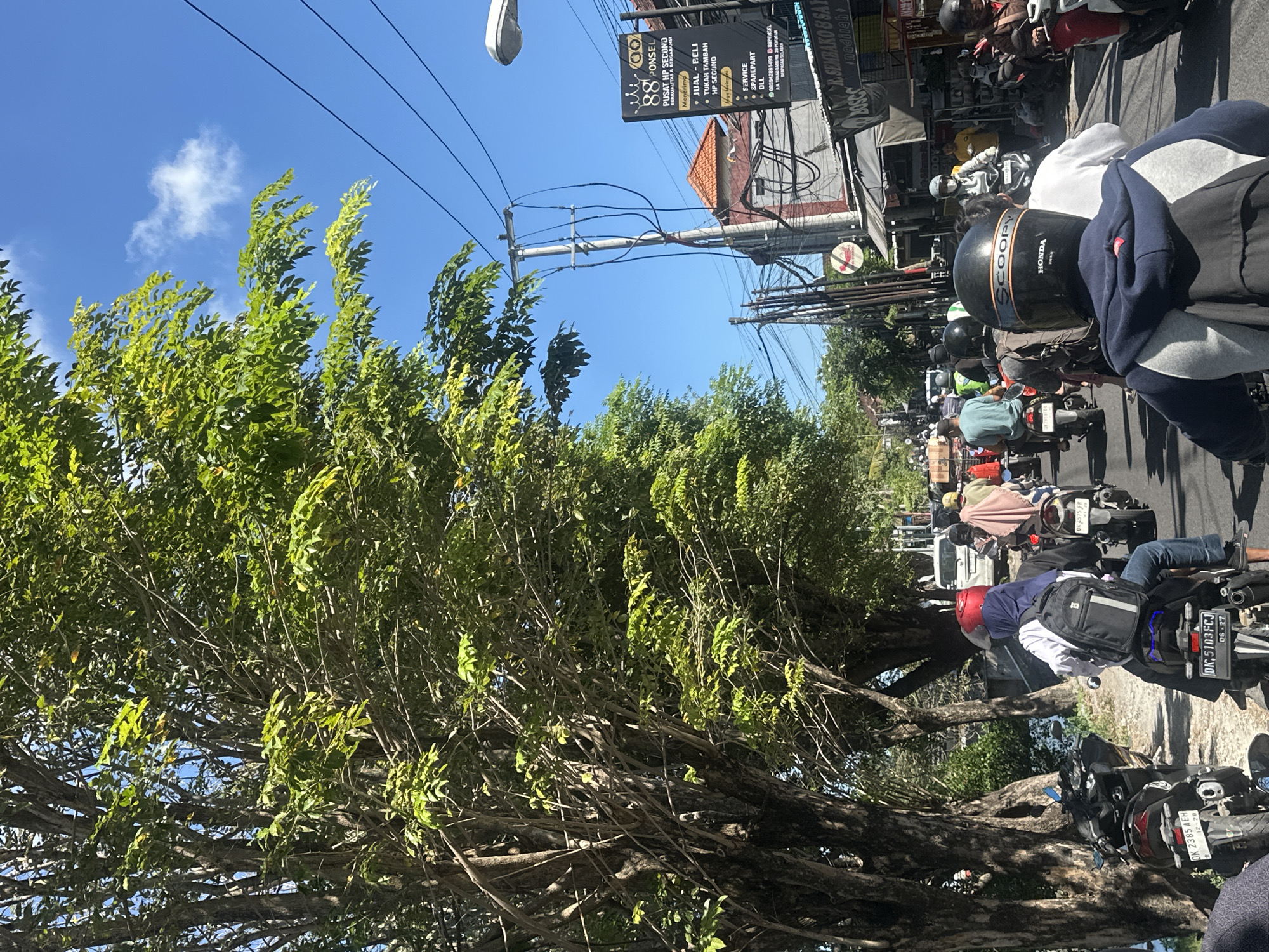 Denpasar morning: blooming trees, busy streets, and open skies