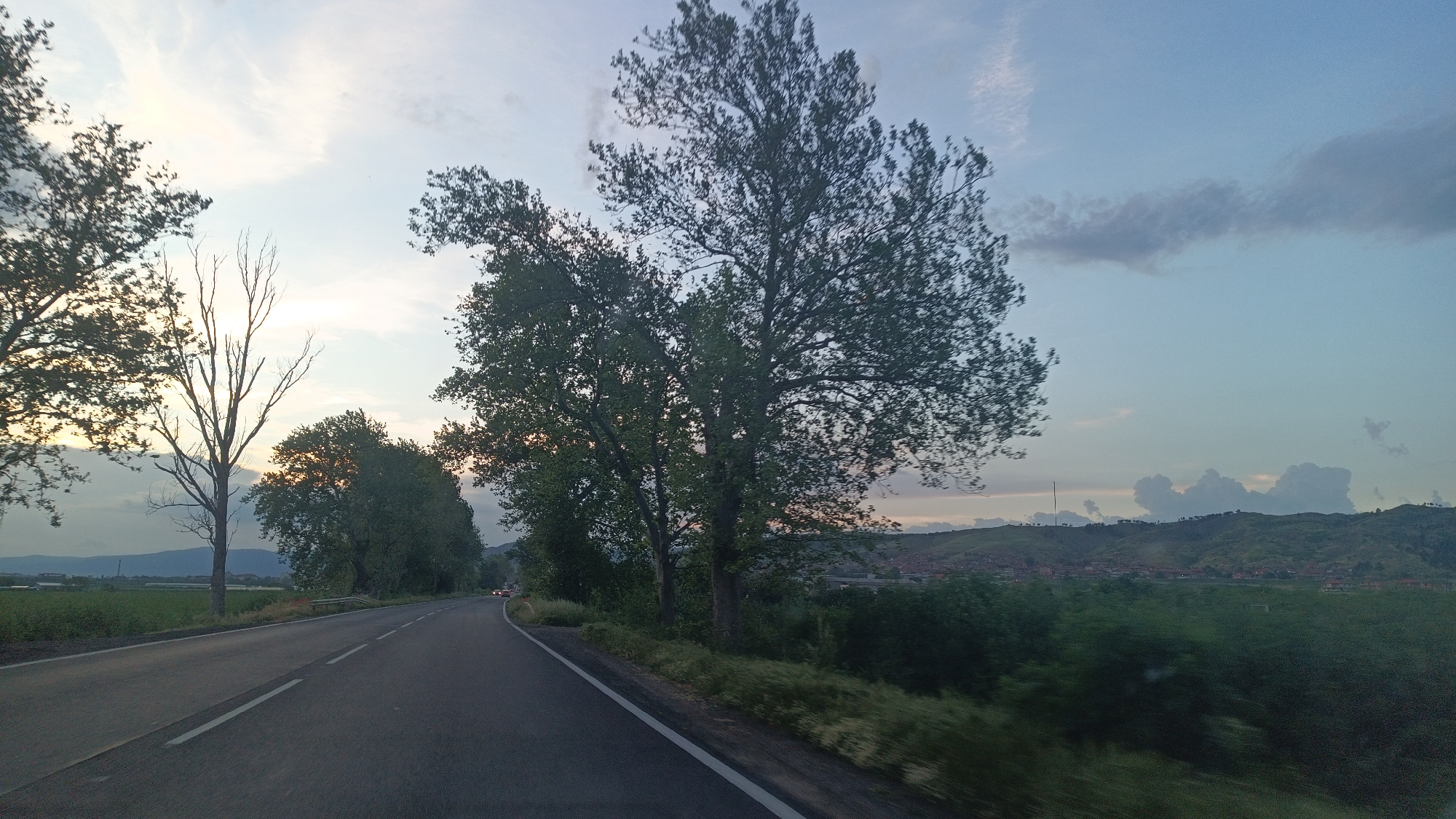 Tree-lined road with fields captured in Aytos, Bulgaria