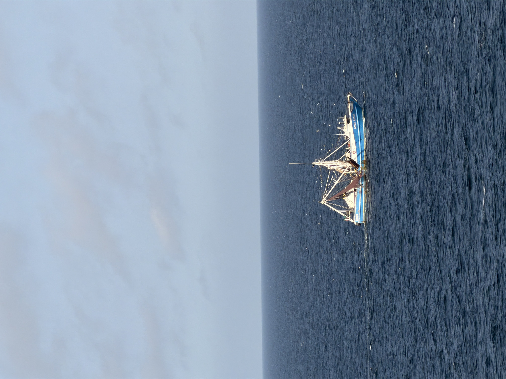 Fishing fleet operates in Gulf waters south of Louisiana