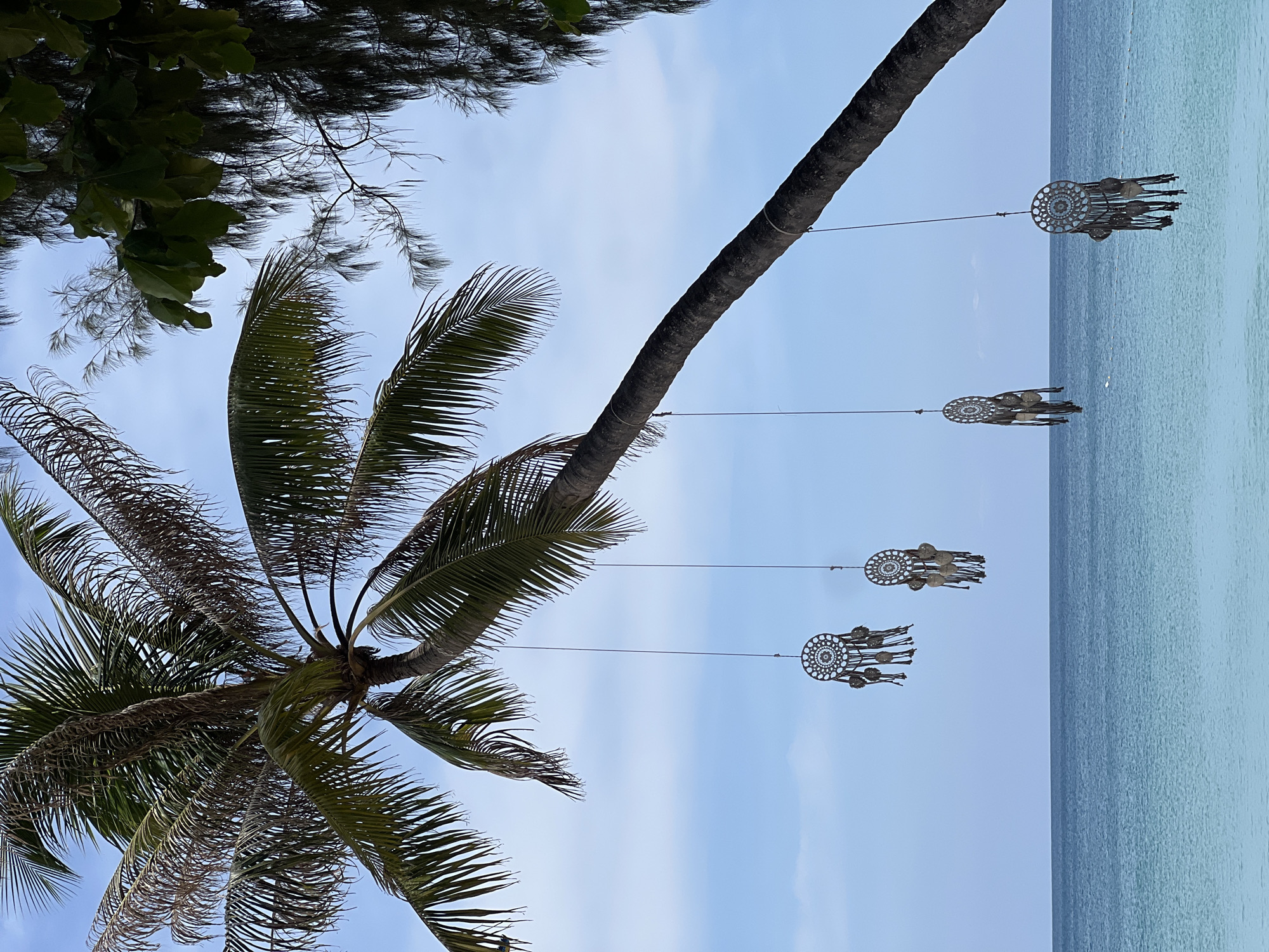Early morning tropical urban scenes documented by single witness
