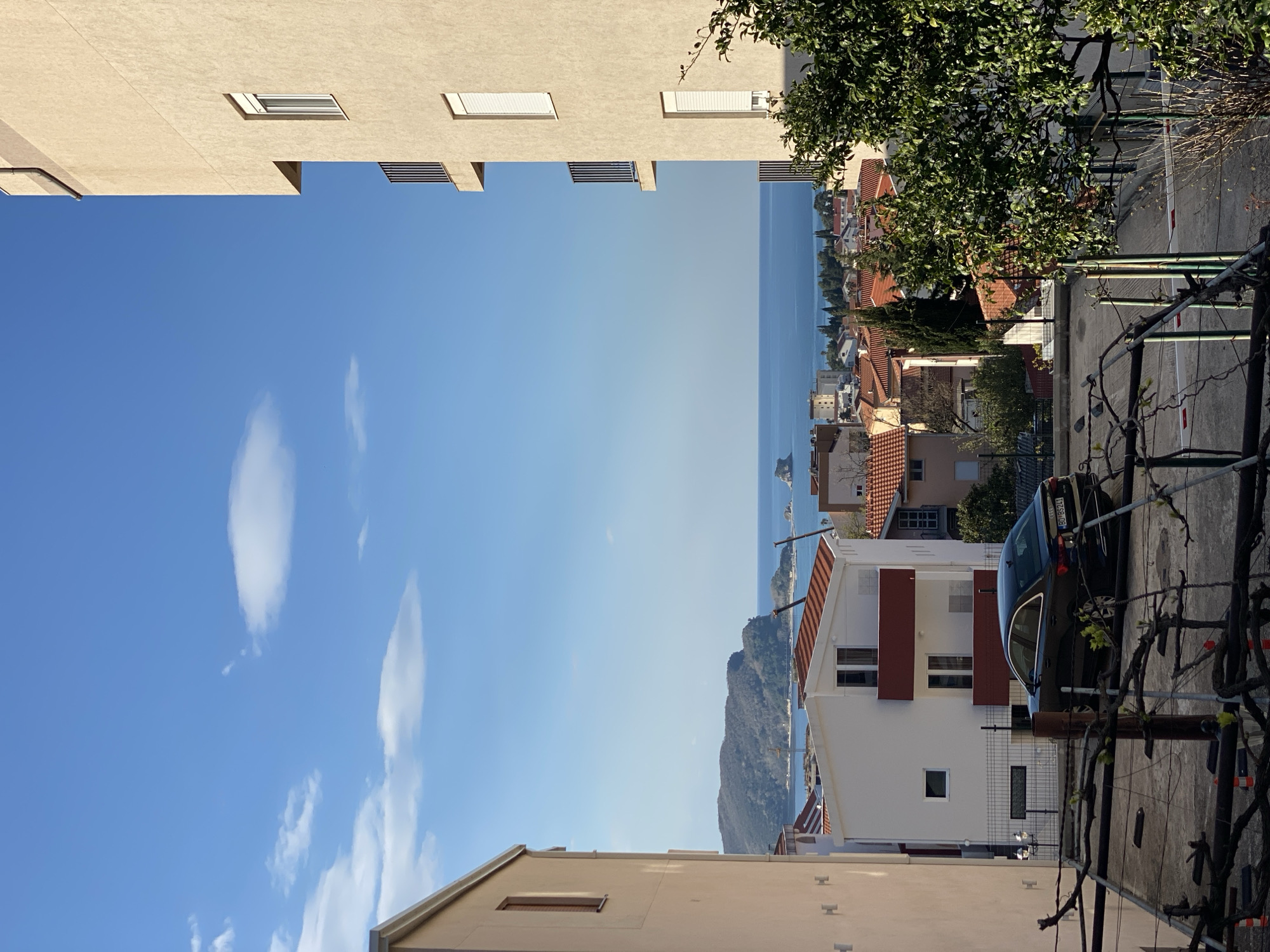 Spring morning botanical survey documented across Budva streets