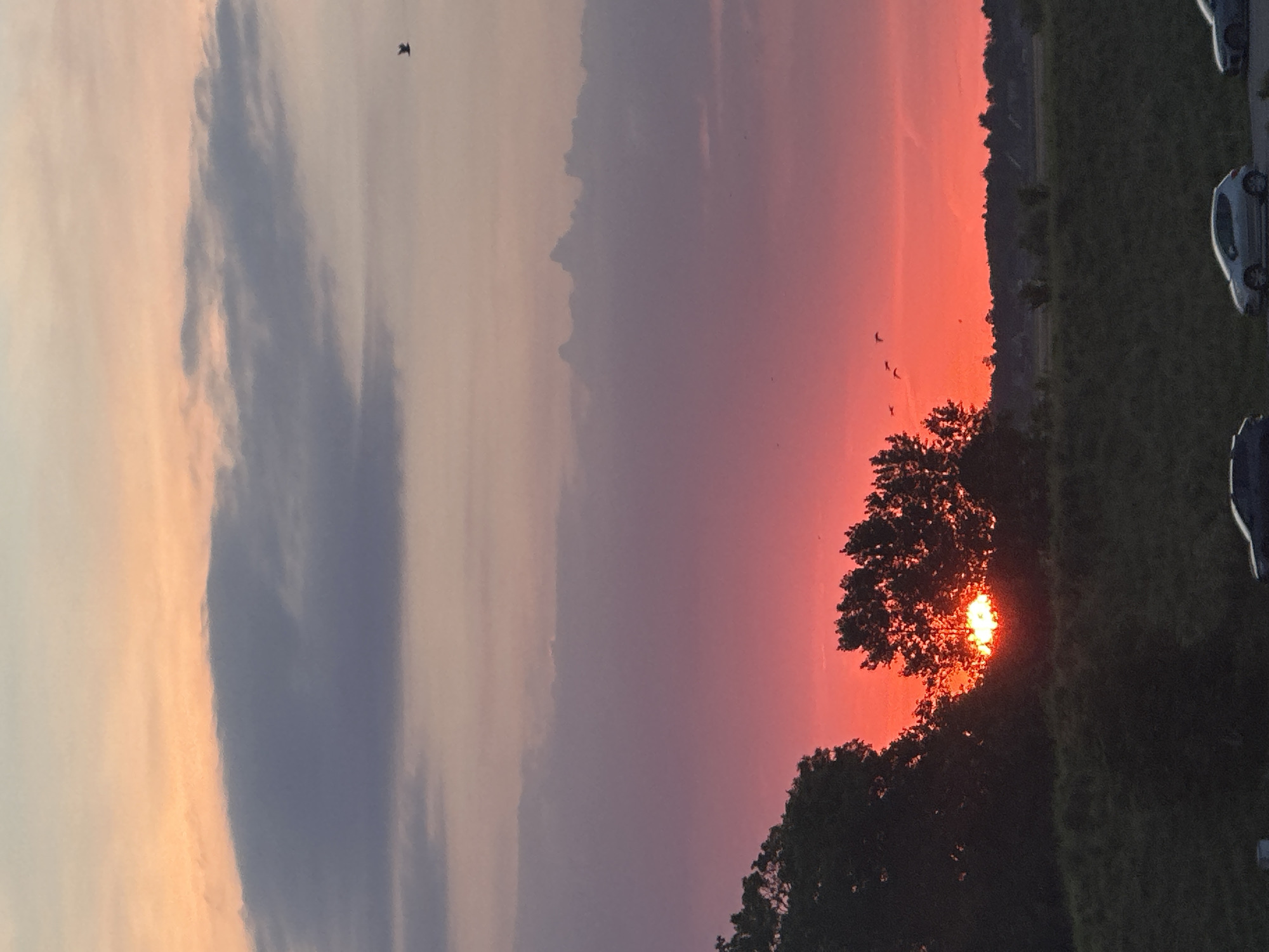 Birds fly through a vivid orange and purple sunset sky