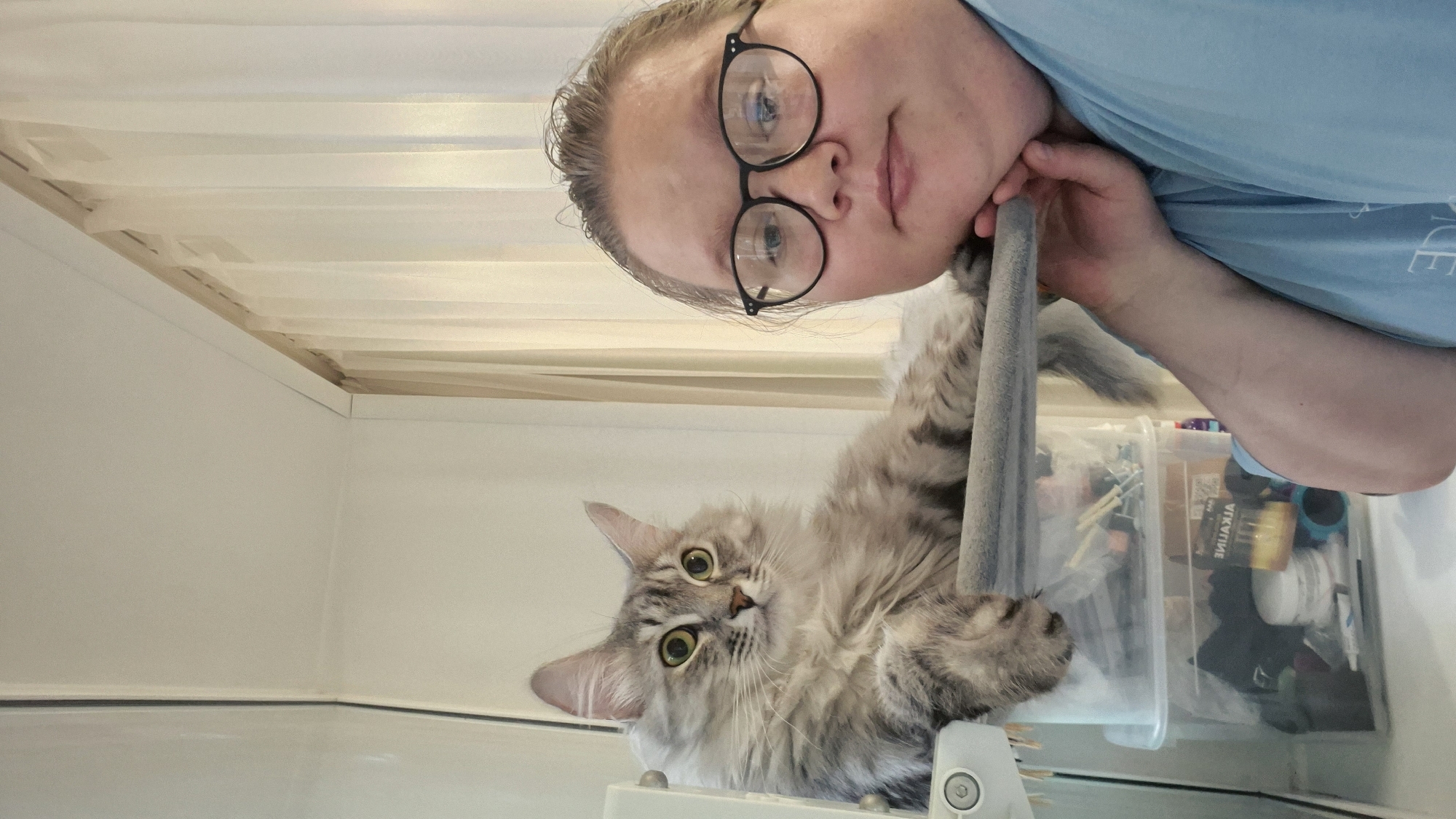Fluffy green-eyed tabby cat at home in Perm