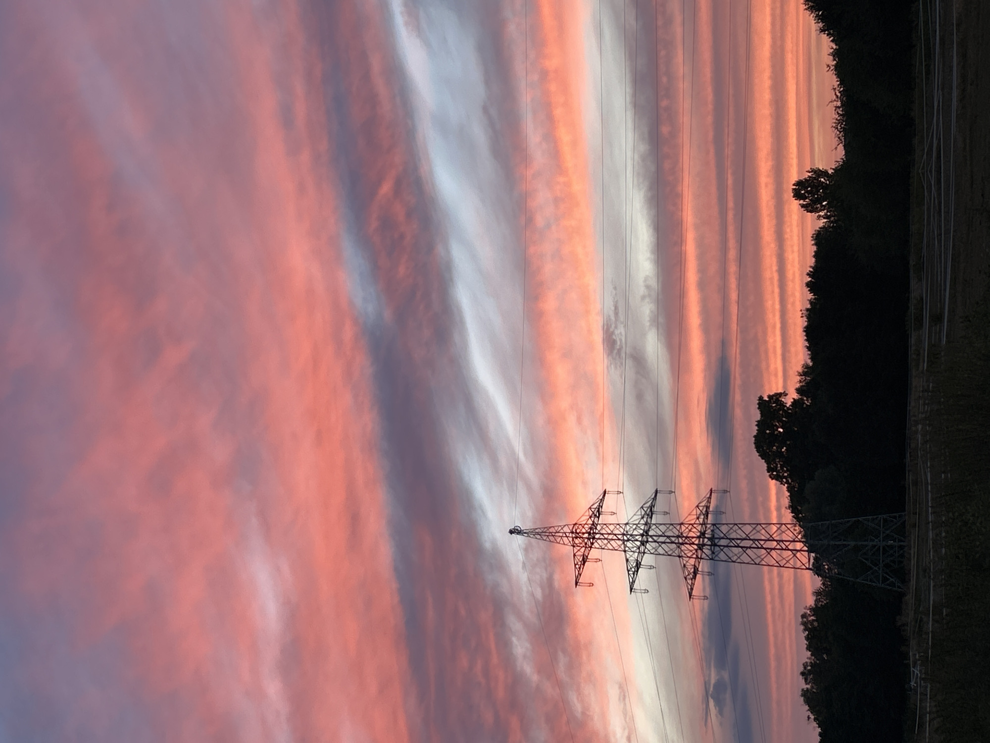 Dog walk at golden hour under a dramatic Frankfurt sky