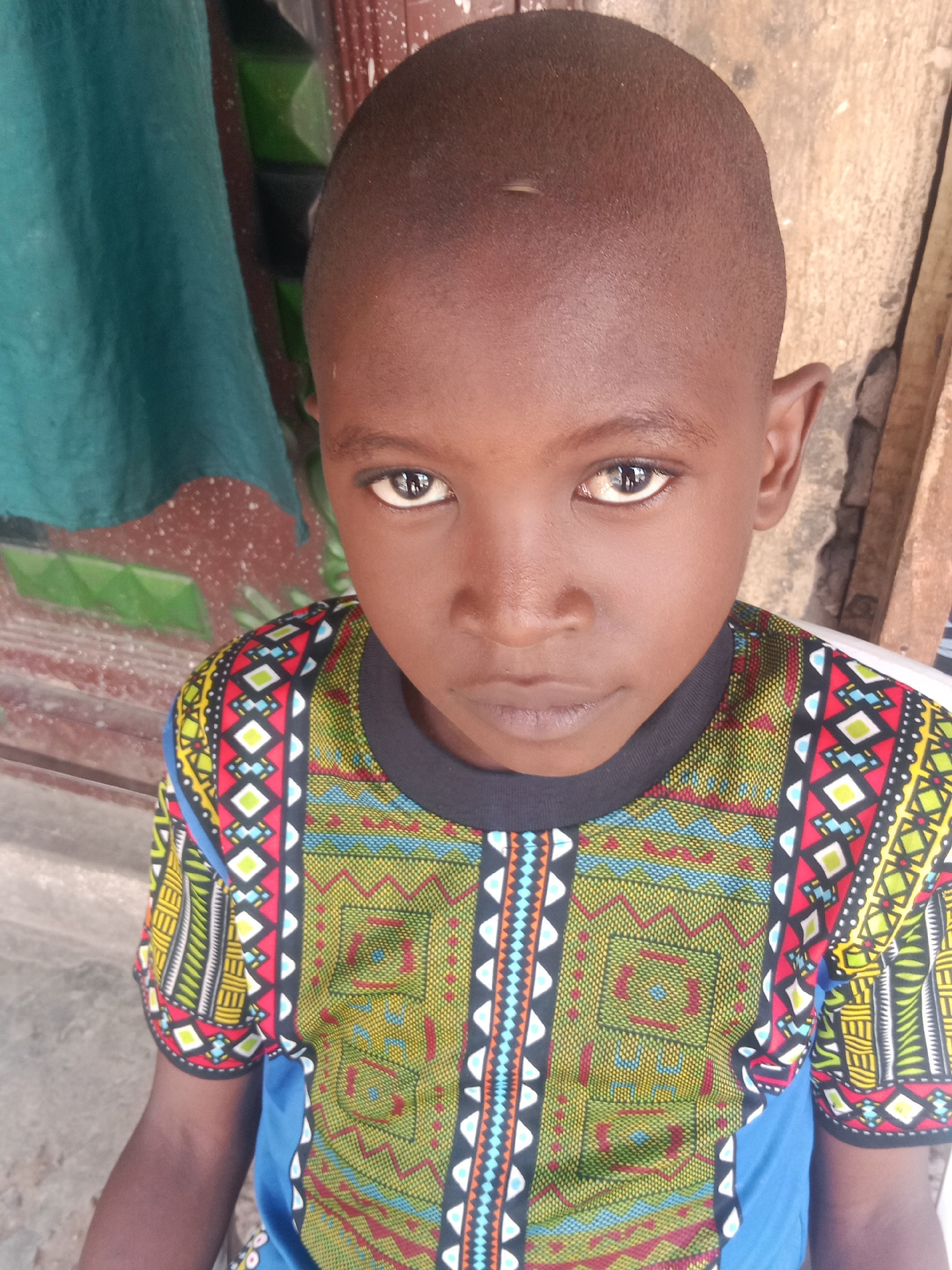 Daily life documented in Lokoja courtyard with residents and animals