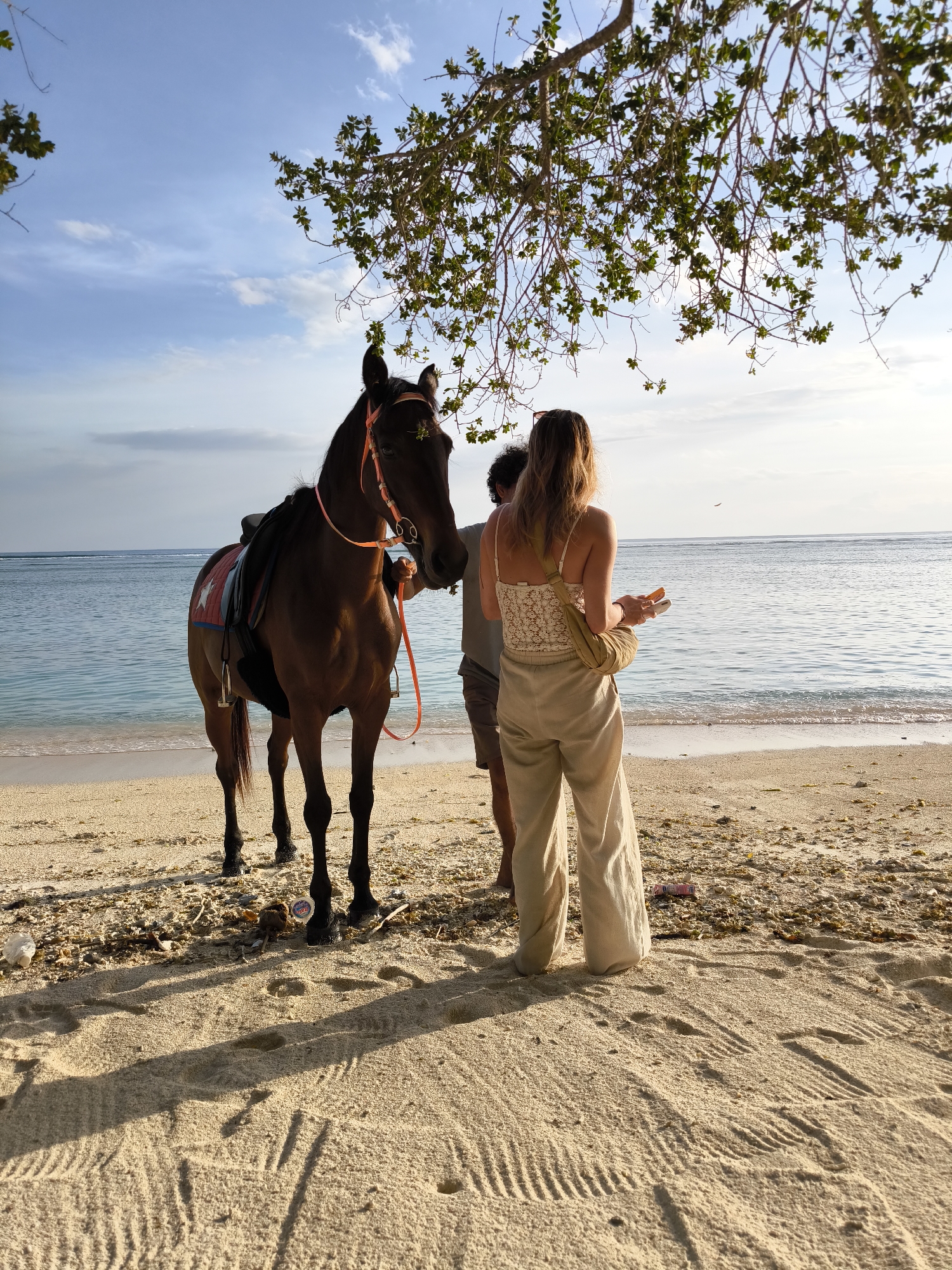 Beach horse encounter and indoor scene captured in Indonesia