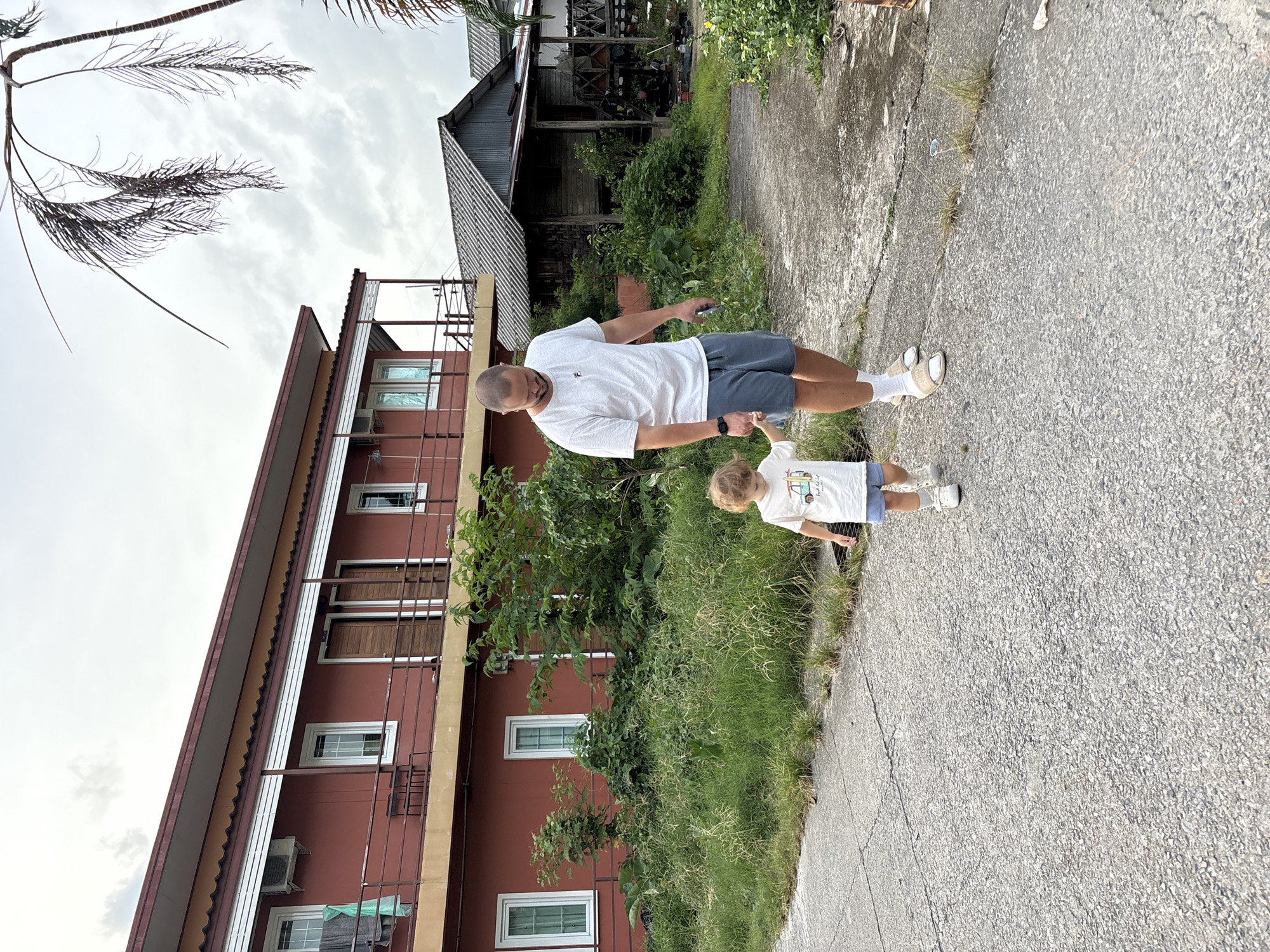 Quiet residential wander through Choeng Thale with cats and garden details