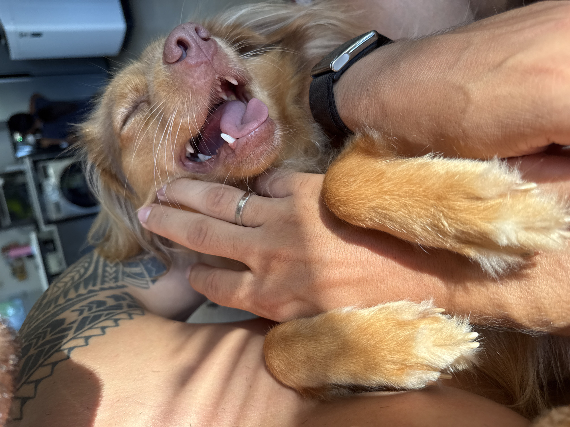 Person shares joyful moment with dog in Ubud